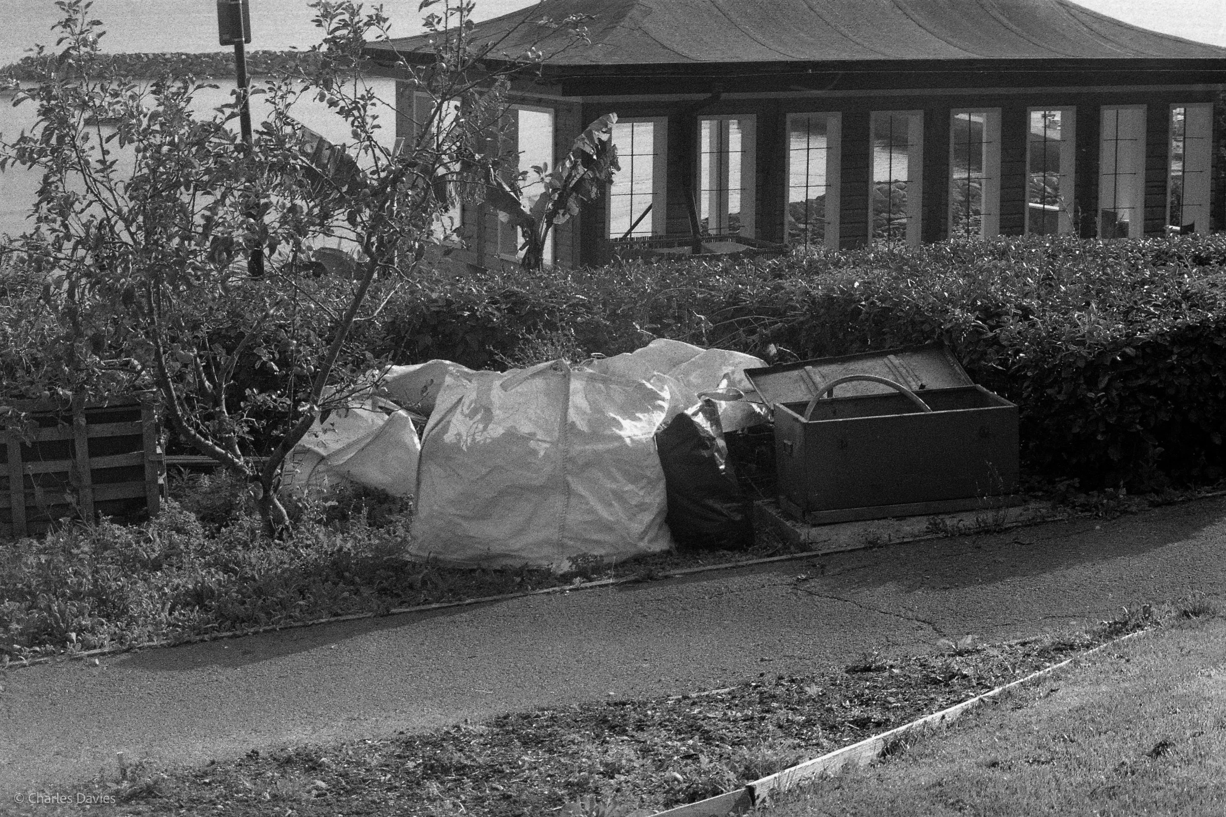 032.jpg