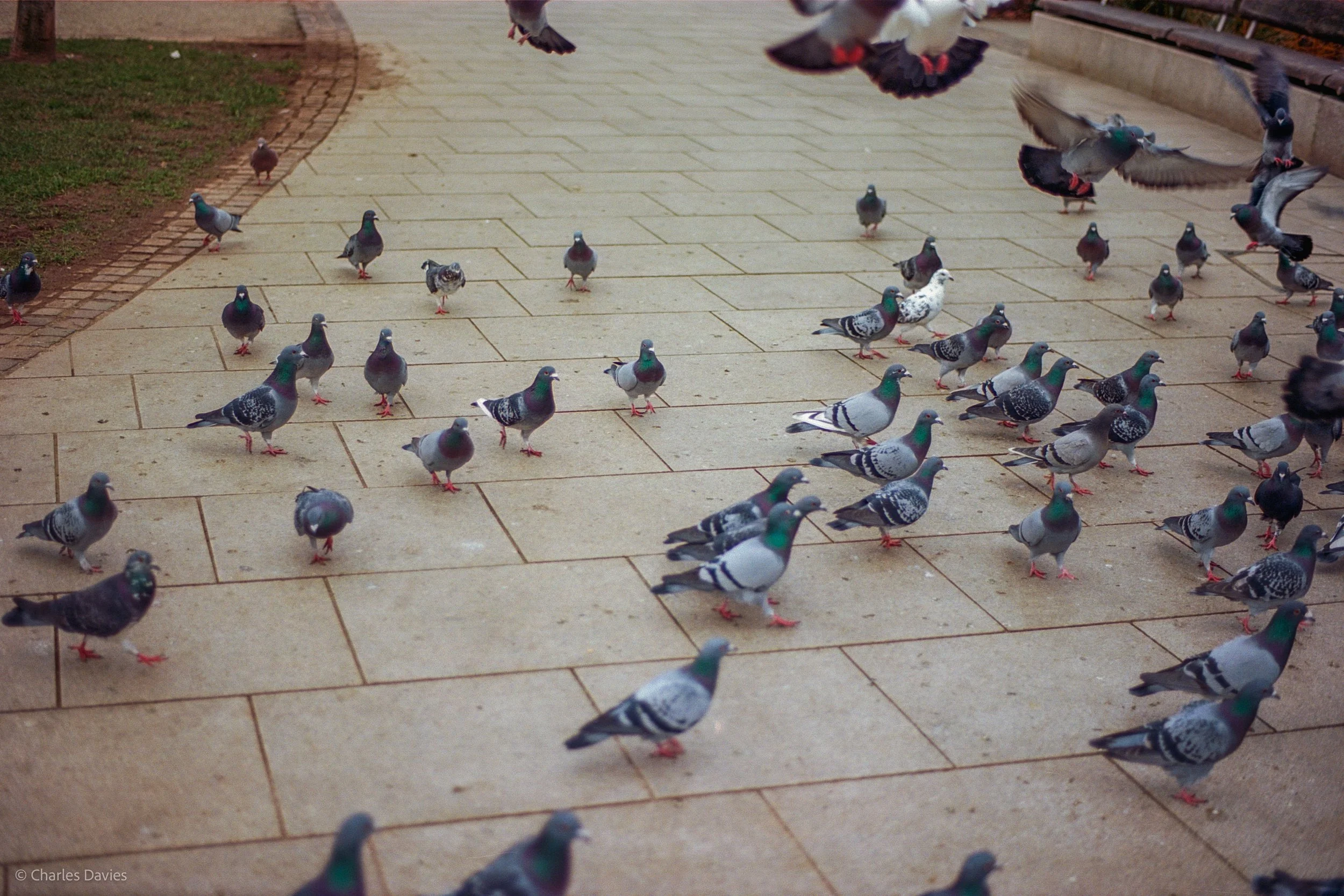 Roll 22 - 2025 - Europe - United Kingdom - Exmouth - Kodak Ektar 100 - Contax RTS - 35mm - Film - Colour