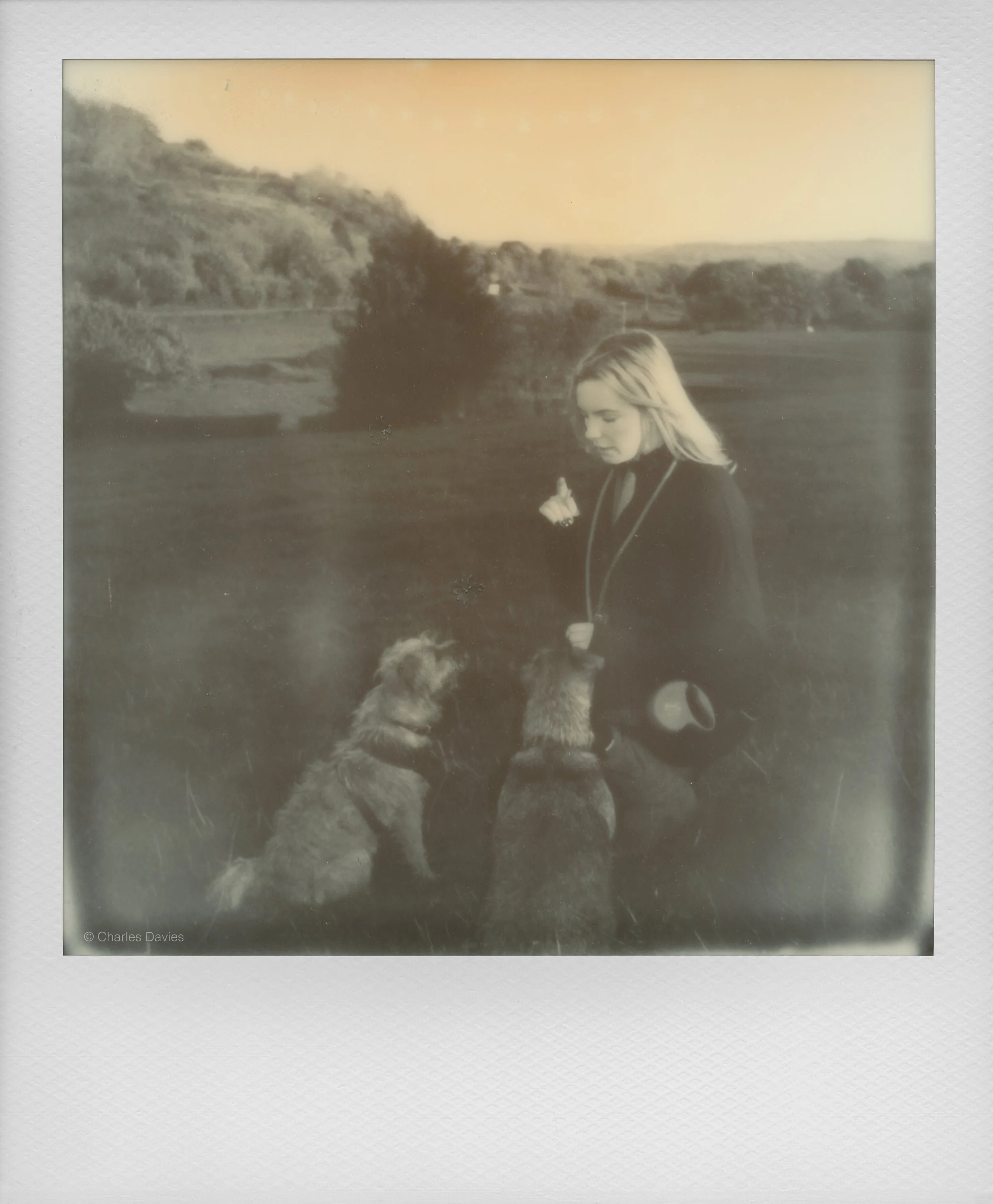 108 - 2022 - Polaroid Now (aged).jpg