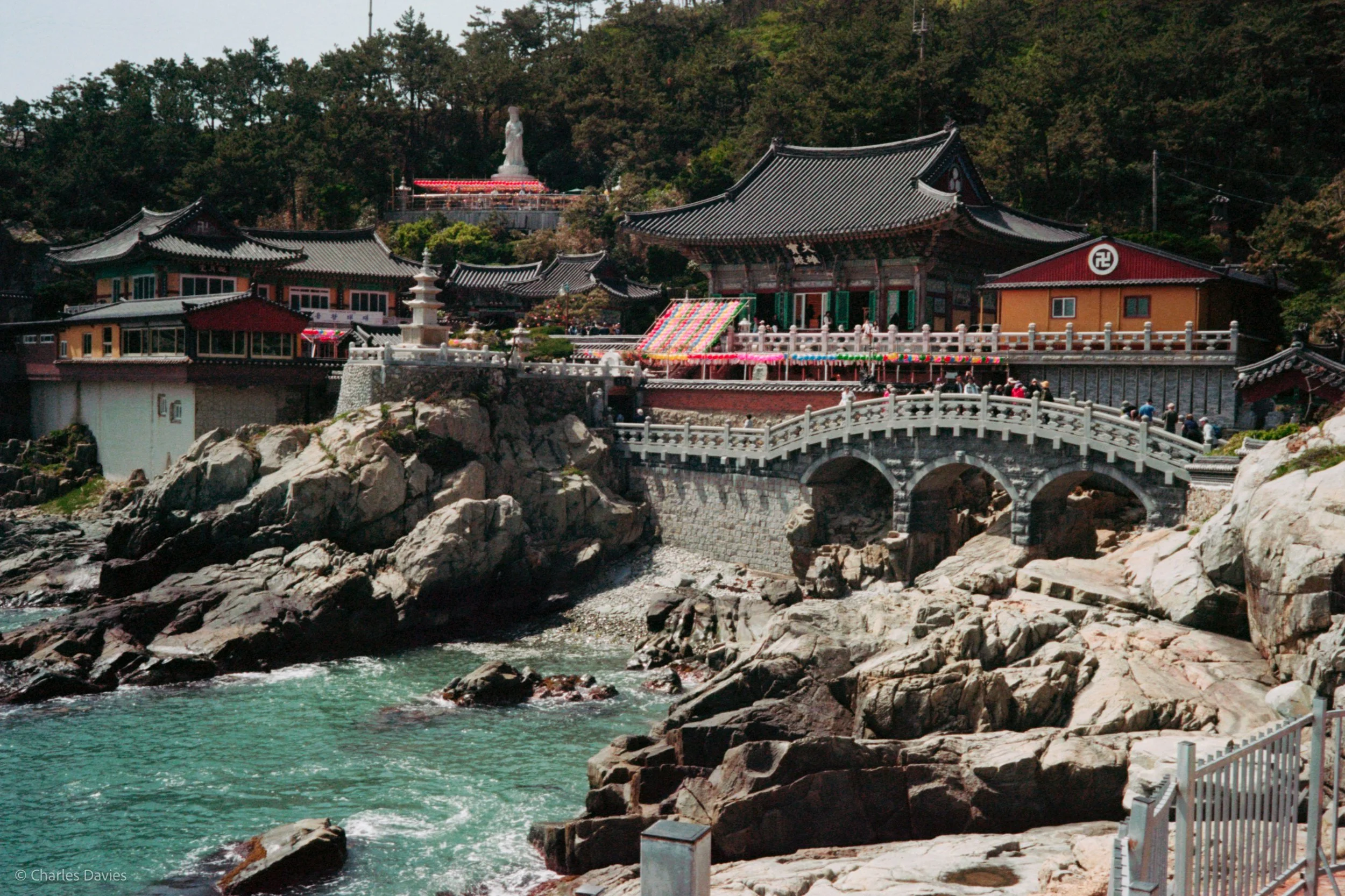 Roll 6 - 2023 - South East Asia - South Korea - Busan - Kodak Portra 160 - Olympus 35DC - 35mm - Film - Colour 
