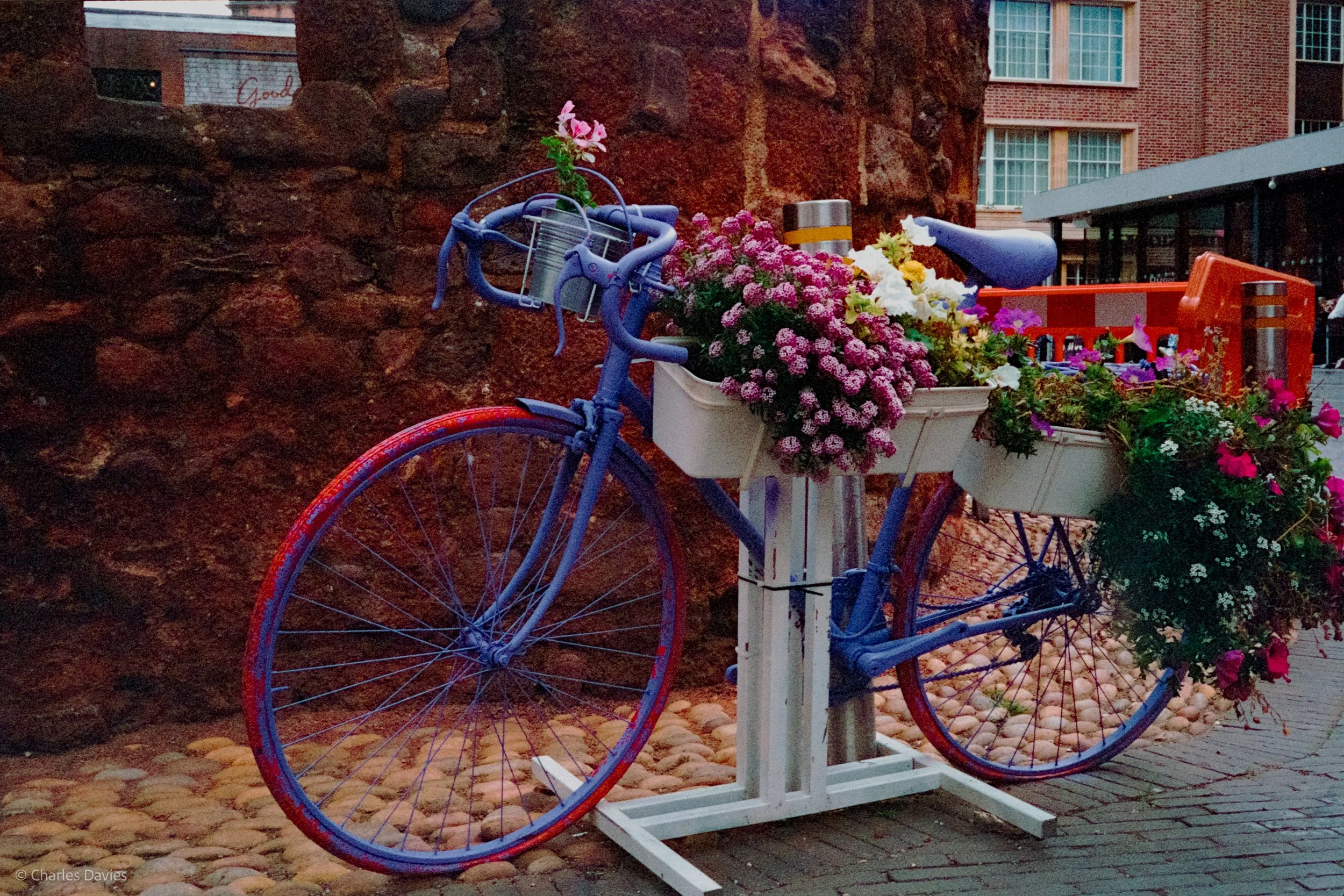 Roll 12 - 2023 - Europe - United Kingdom - Exeter - Kodak UltraMax 400 - Olympus 35DC - 35mm - Film - Colour 