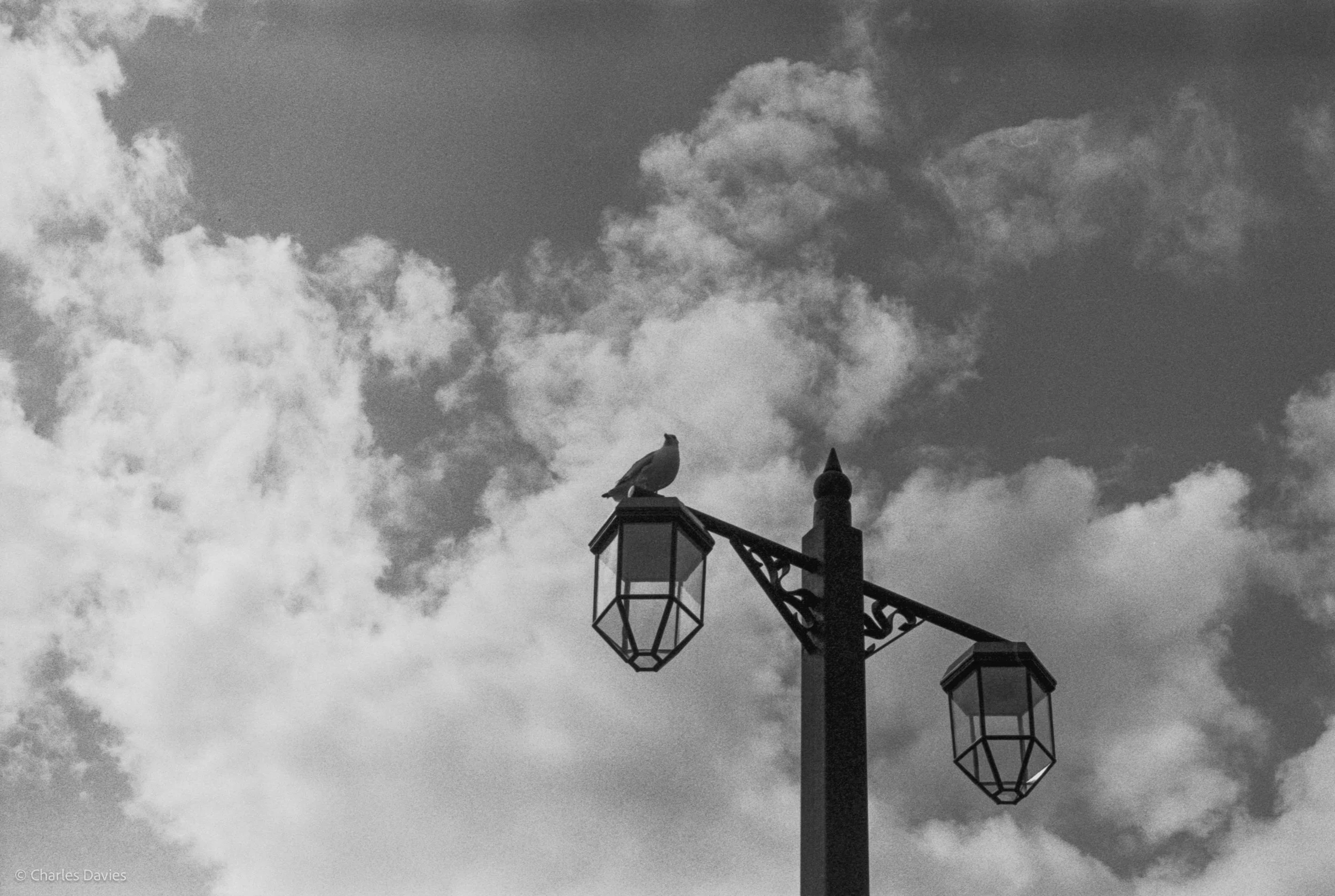Roll 28 - 2025 - Europe - United Kingdom - Sidmouth - Kentmere Pan 400 - Minolta X-300 - 35mm - Film - B&W 