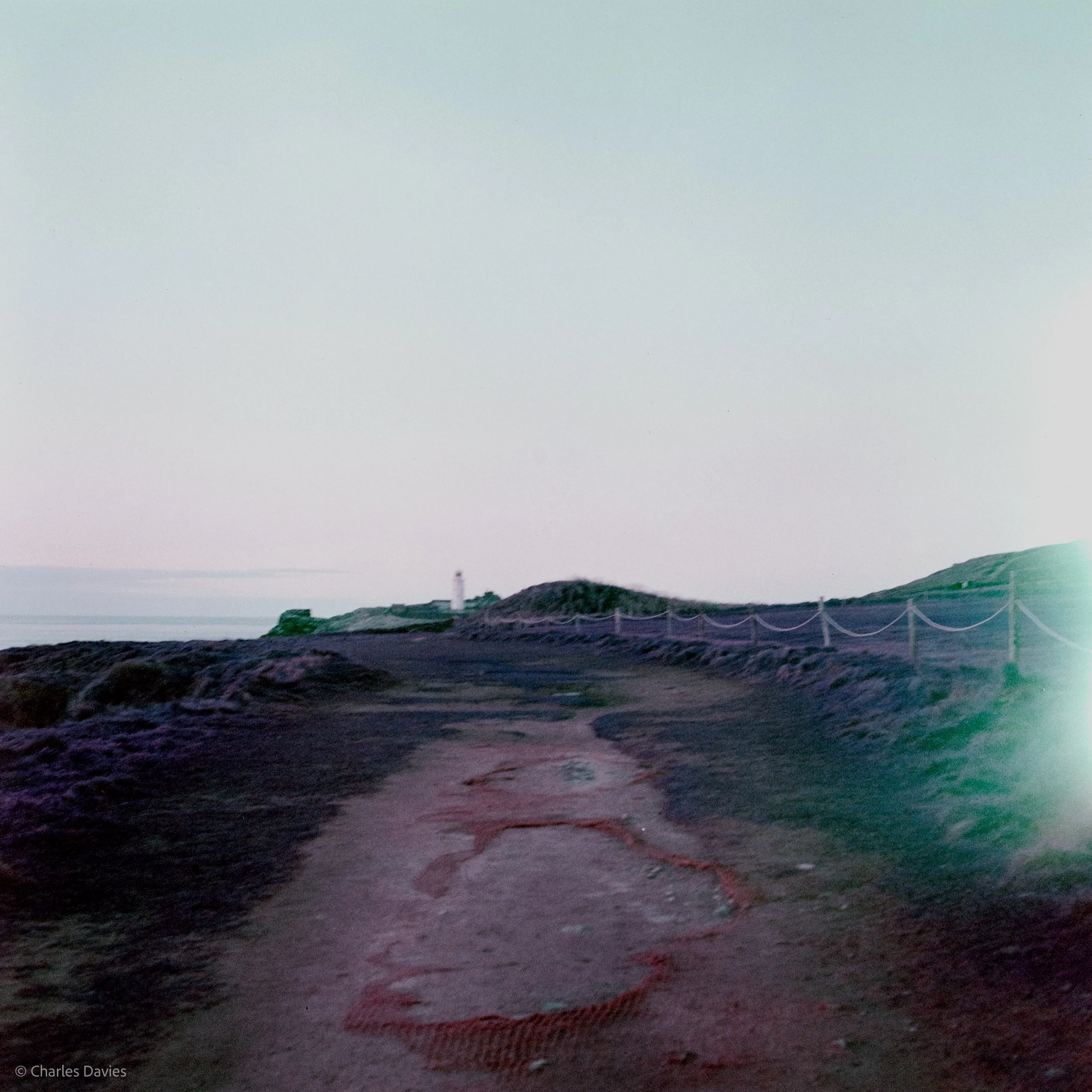 Image-6.jpg