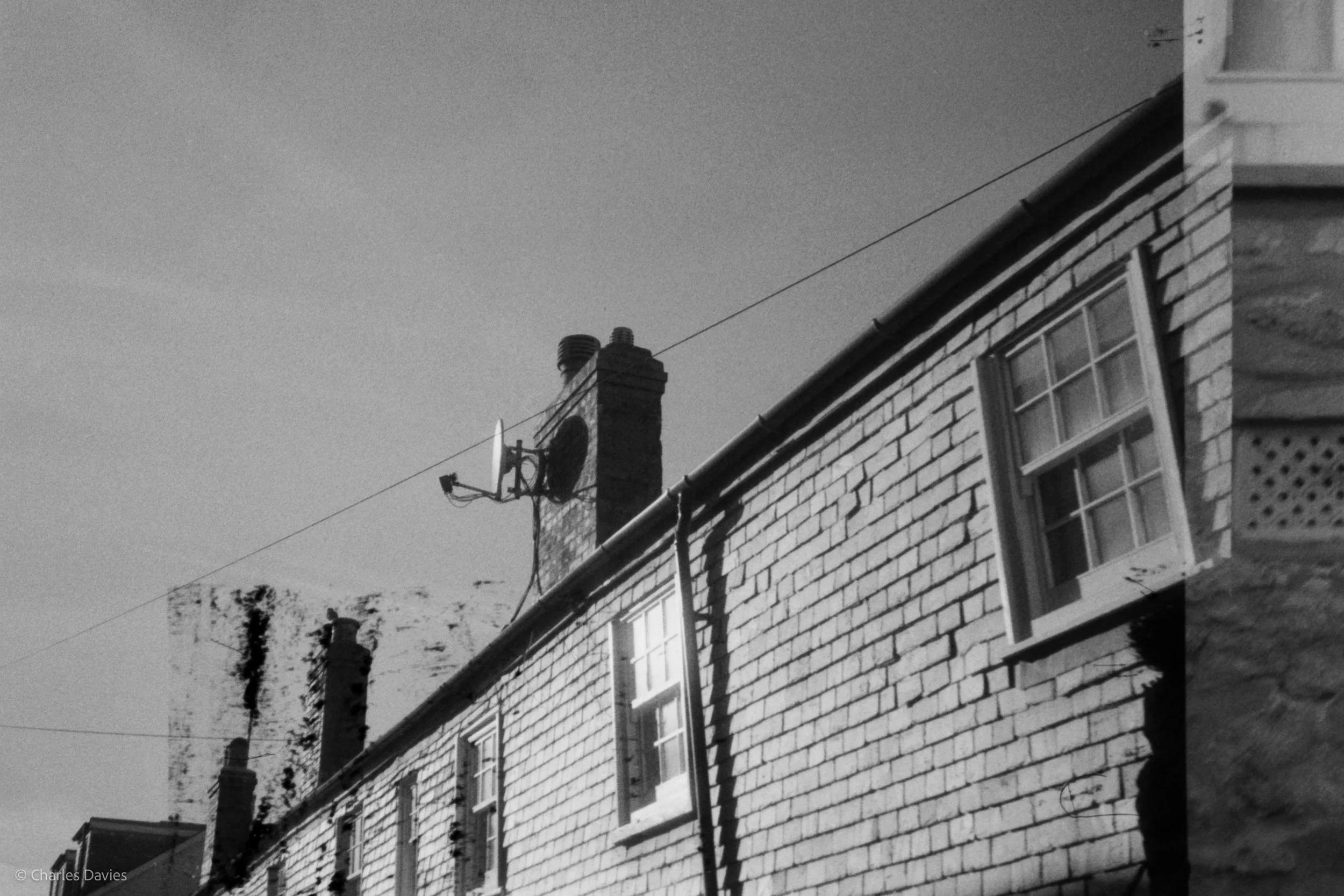 Image-25.jpg