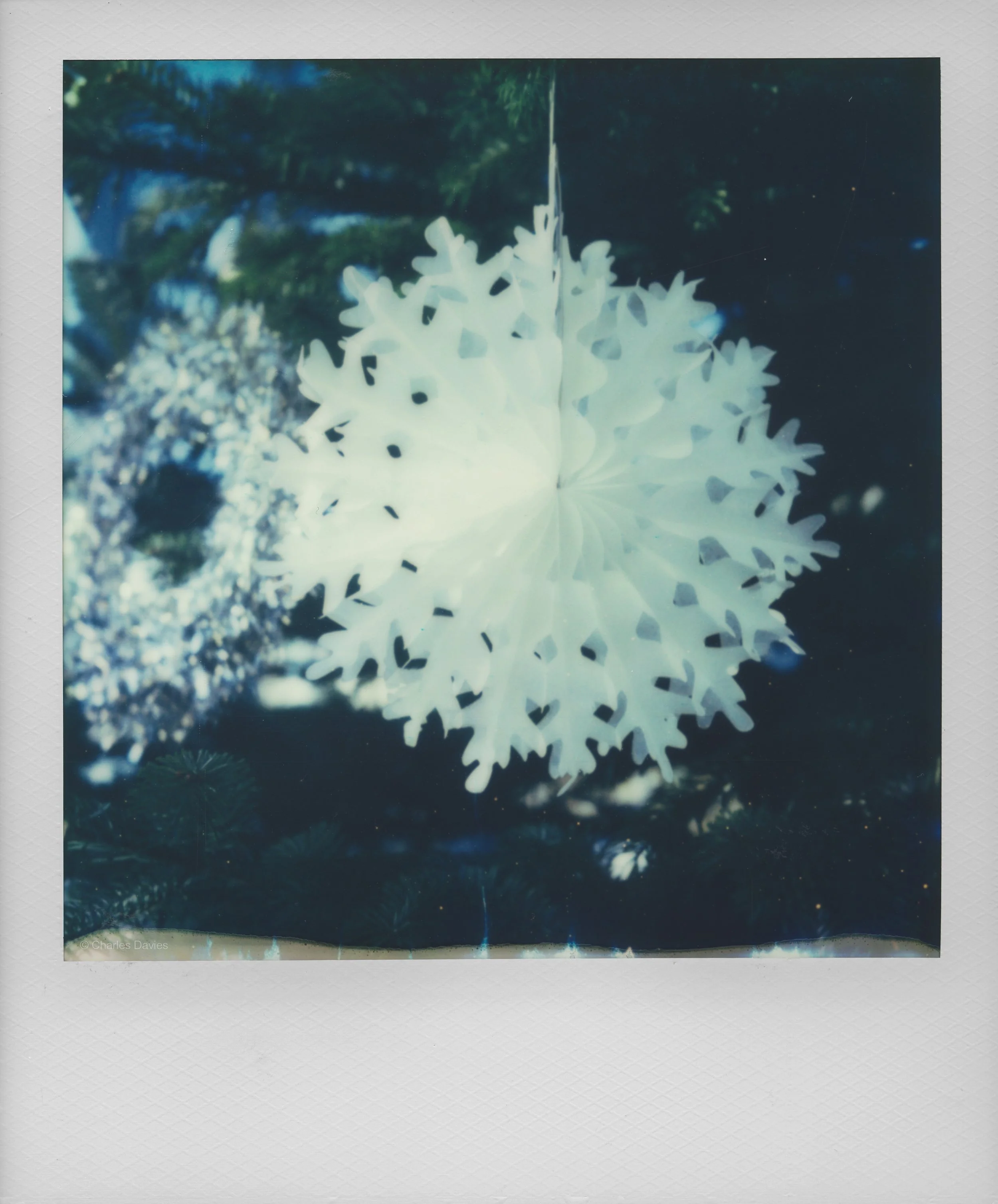 132 - 2022 - Polaroid SX-70 Sonar.jpg
