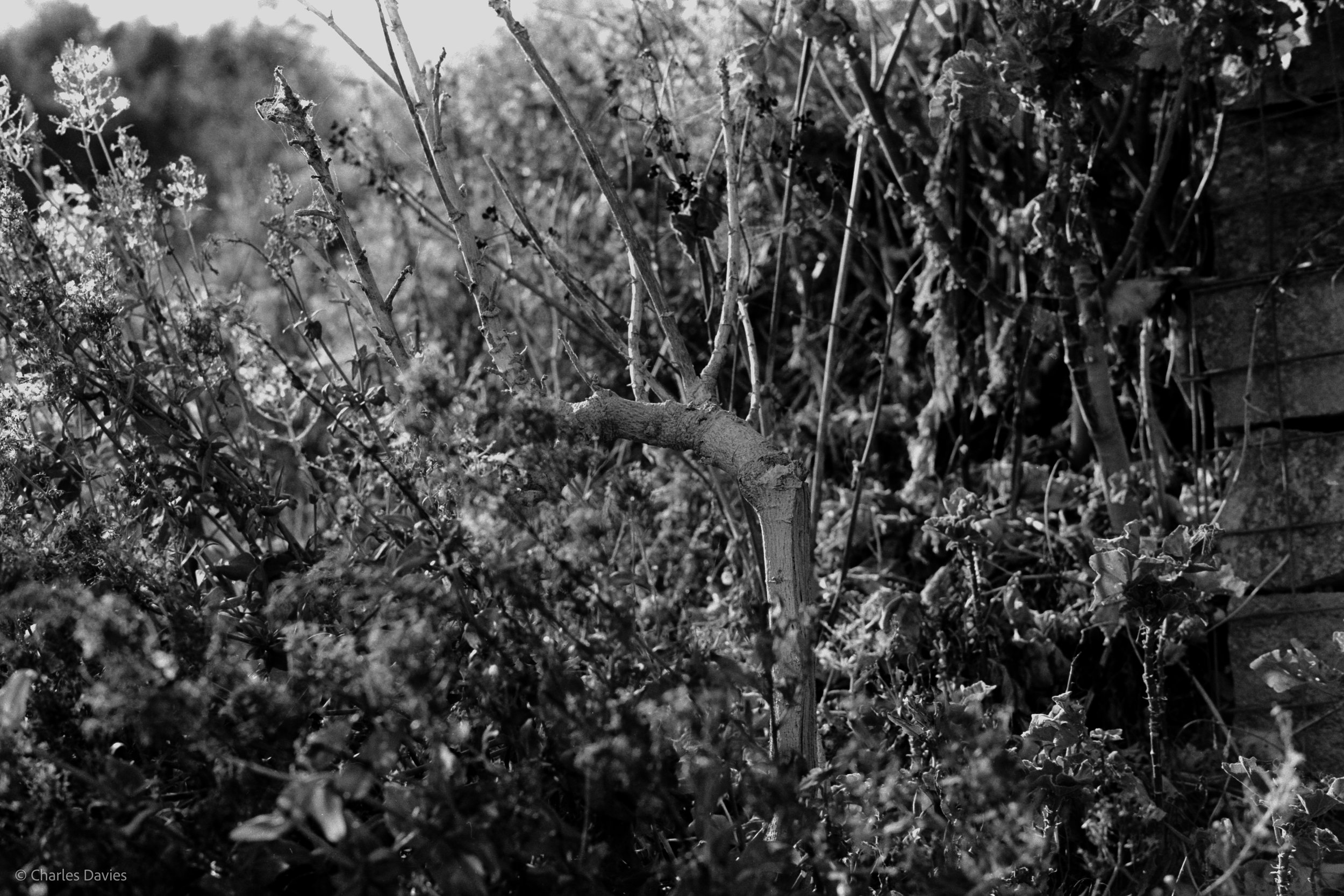 Shot 17 - Manual - Seaton 
