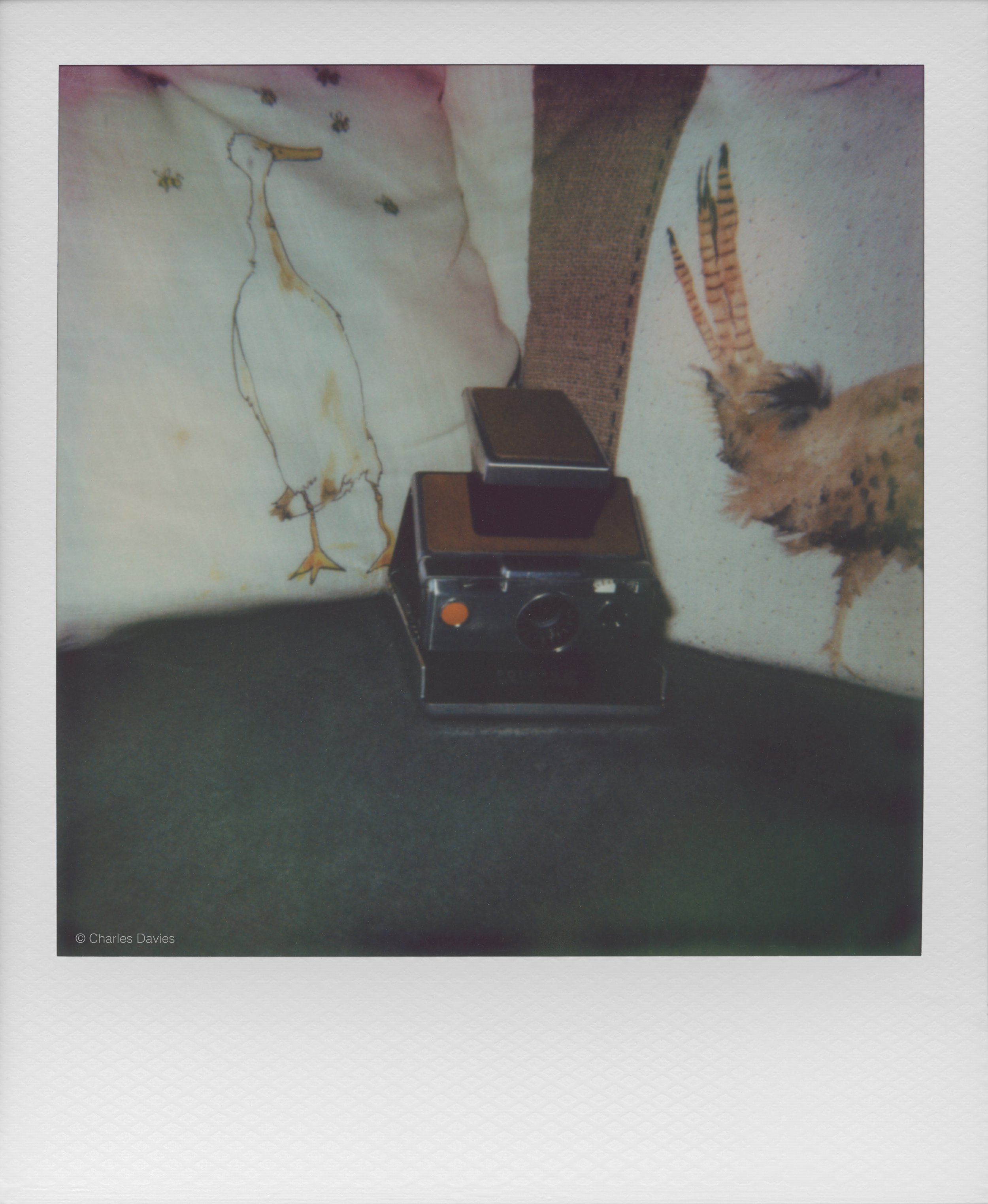 74 - 2025 - Polaroid Autofocus 660.jpg