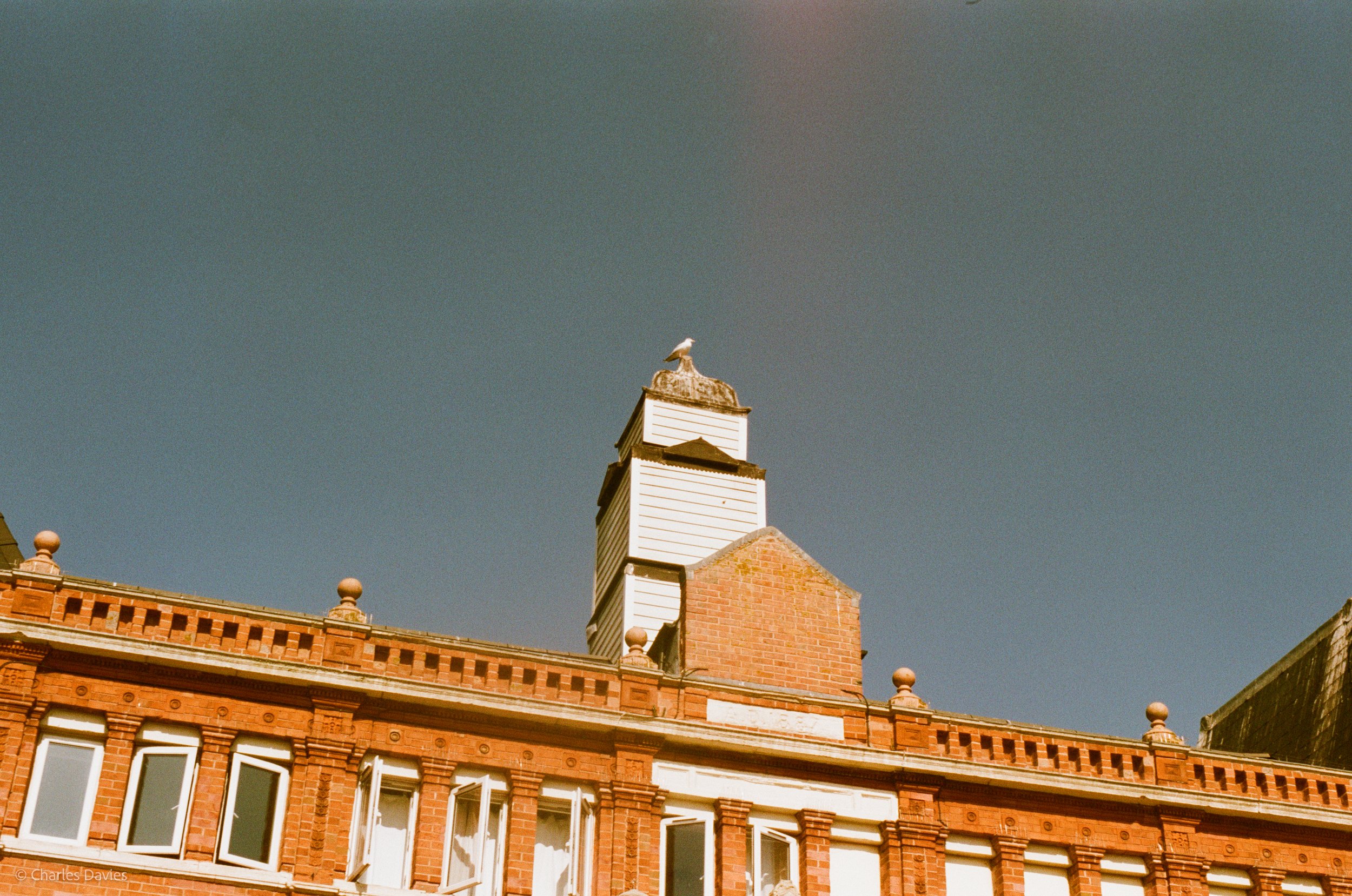 021.jpg