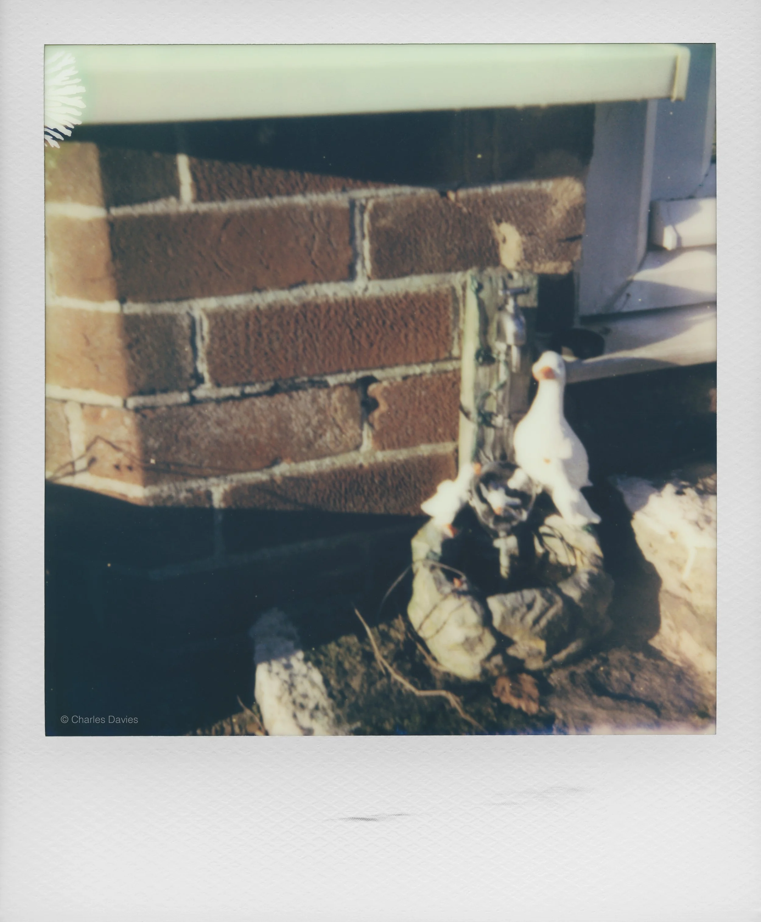 3 - 2023 - Polaroid Now.jpg