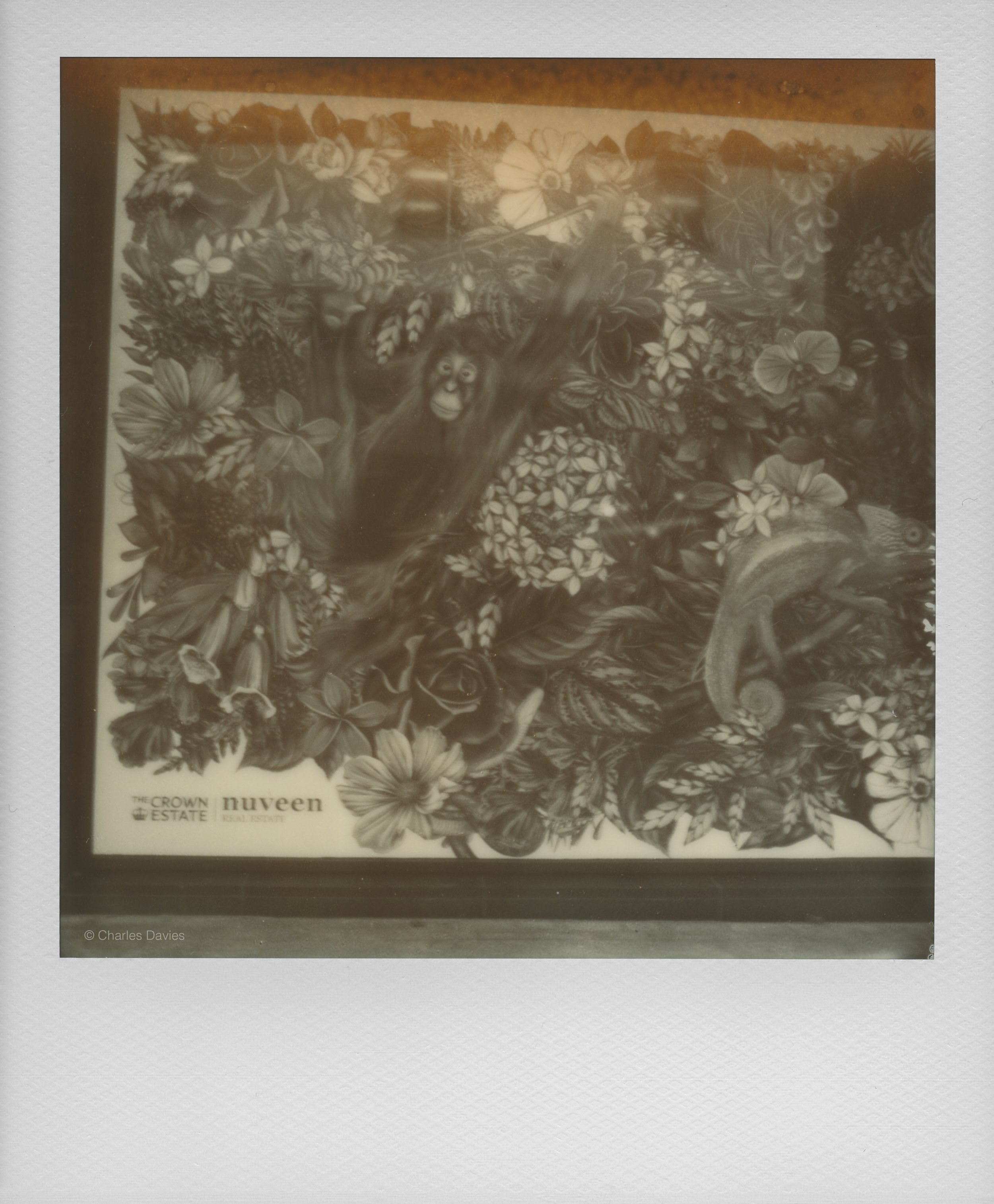118 - 2022 - Polaroid SX-70 Sonar (aged).jpg