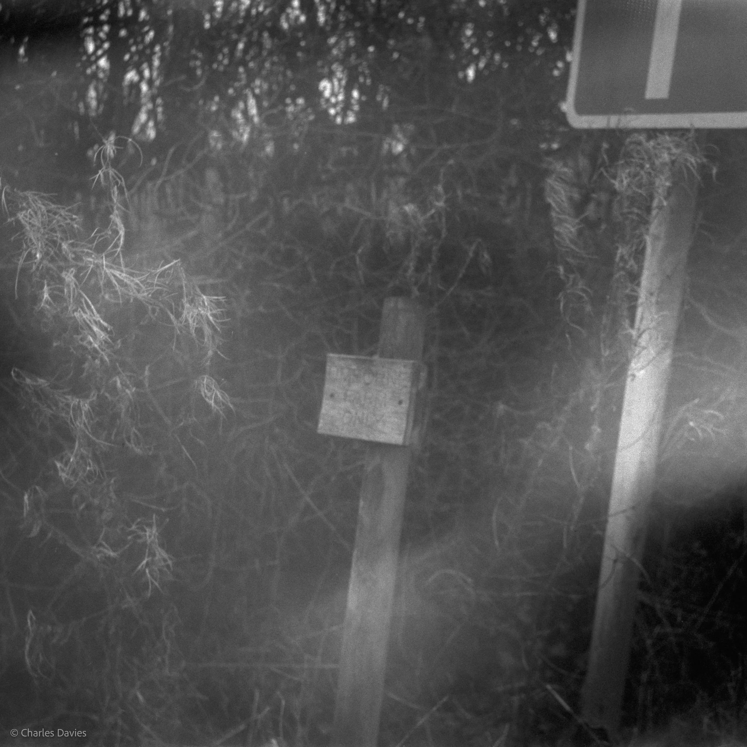 Roll 23 - 2025 - Europe - United Kingdom - Shute - Ilford HP5 Plus 400 - Agfa Isola - 120 Medium Format - Film - B&W