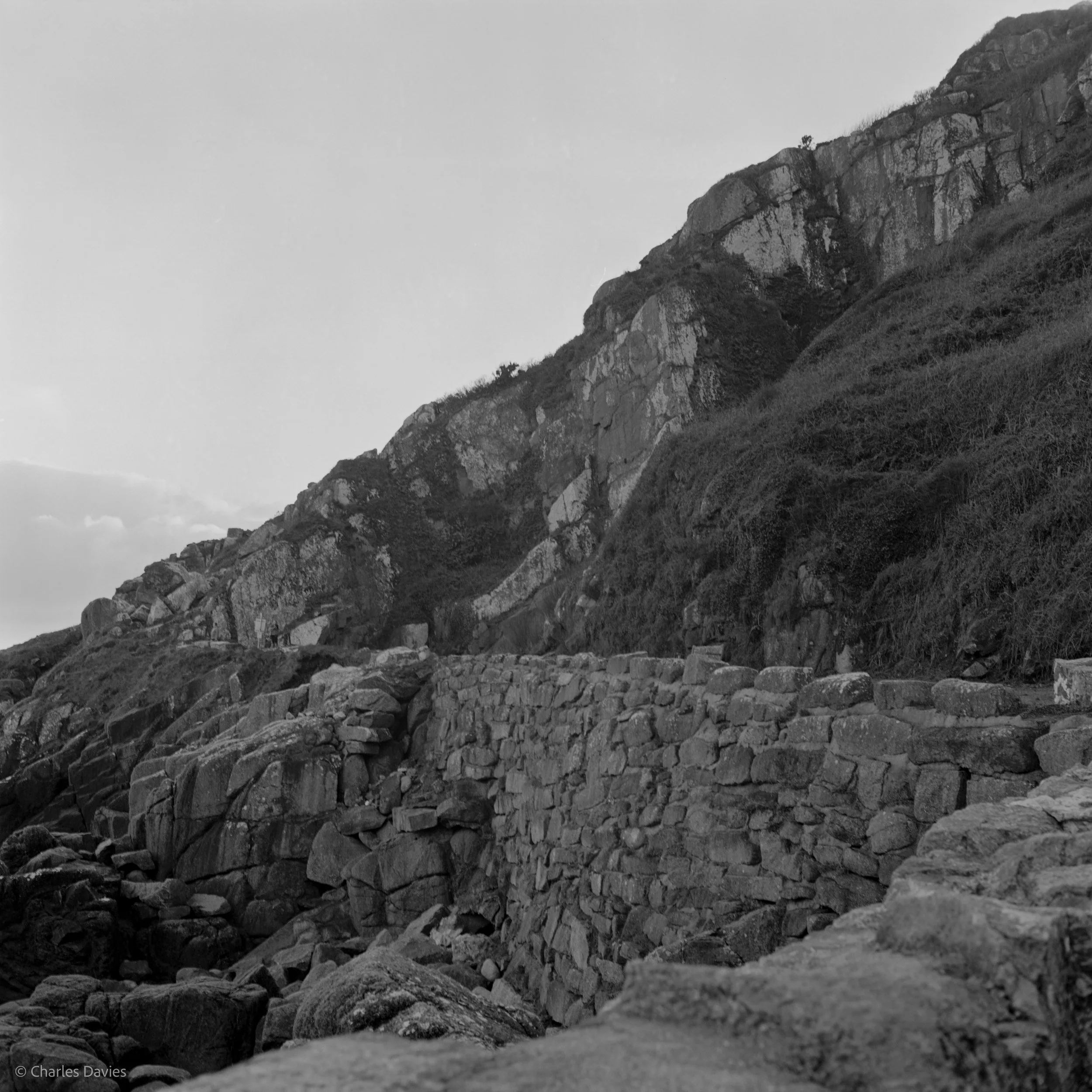 Image-12.jpg