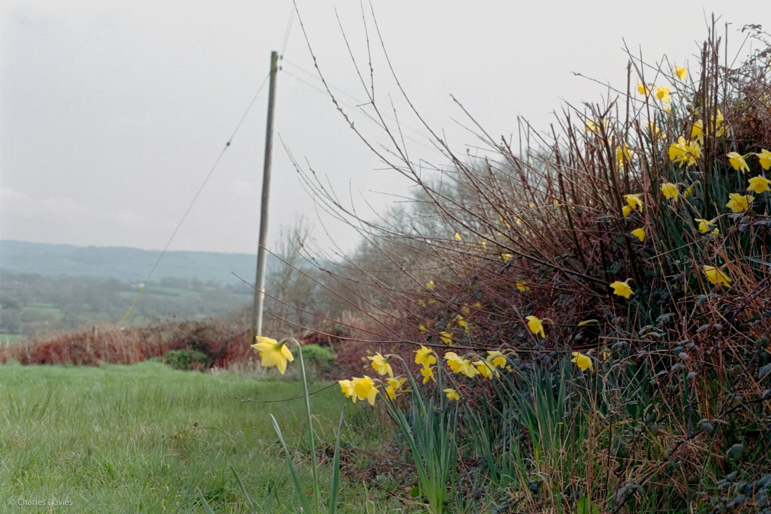 Shot 29 - F/8 + 1/250th - Home  