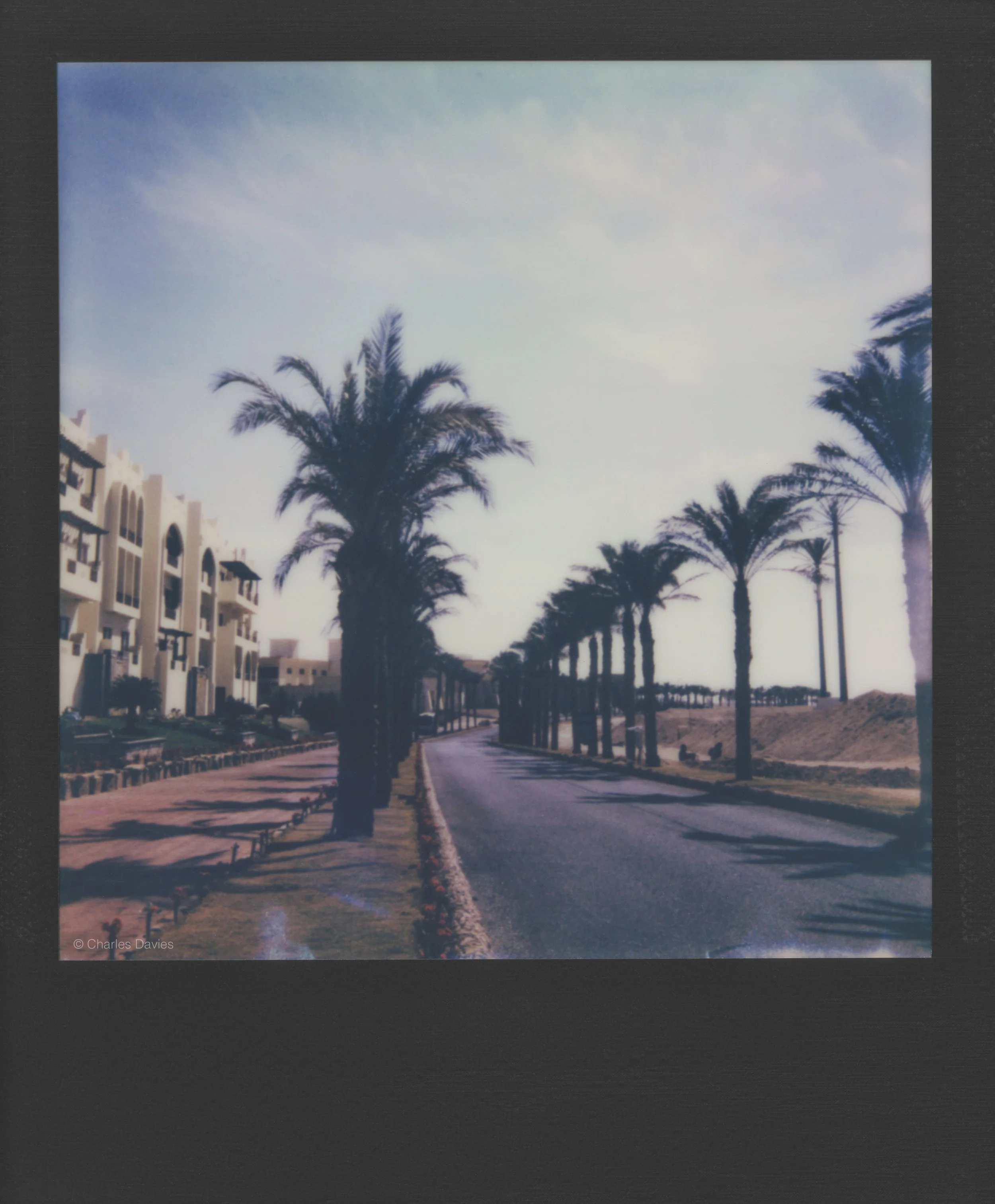 48 - 2023 - Polaroid Now.jpg