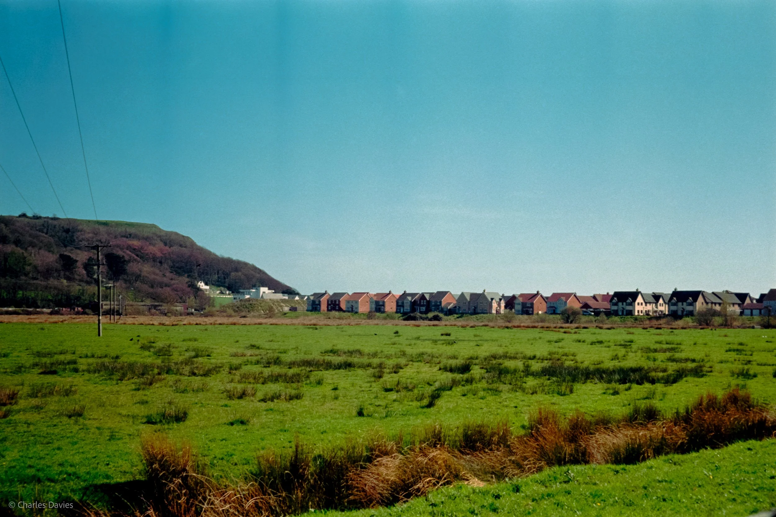 Shot 19 - Auto - Seaton Wetlands 
