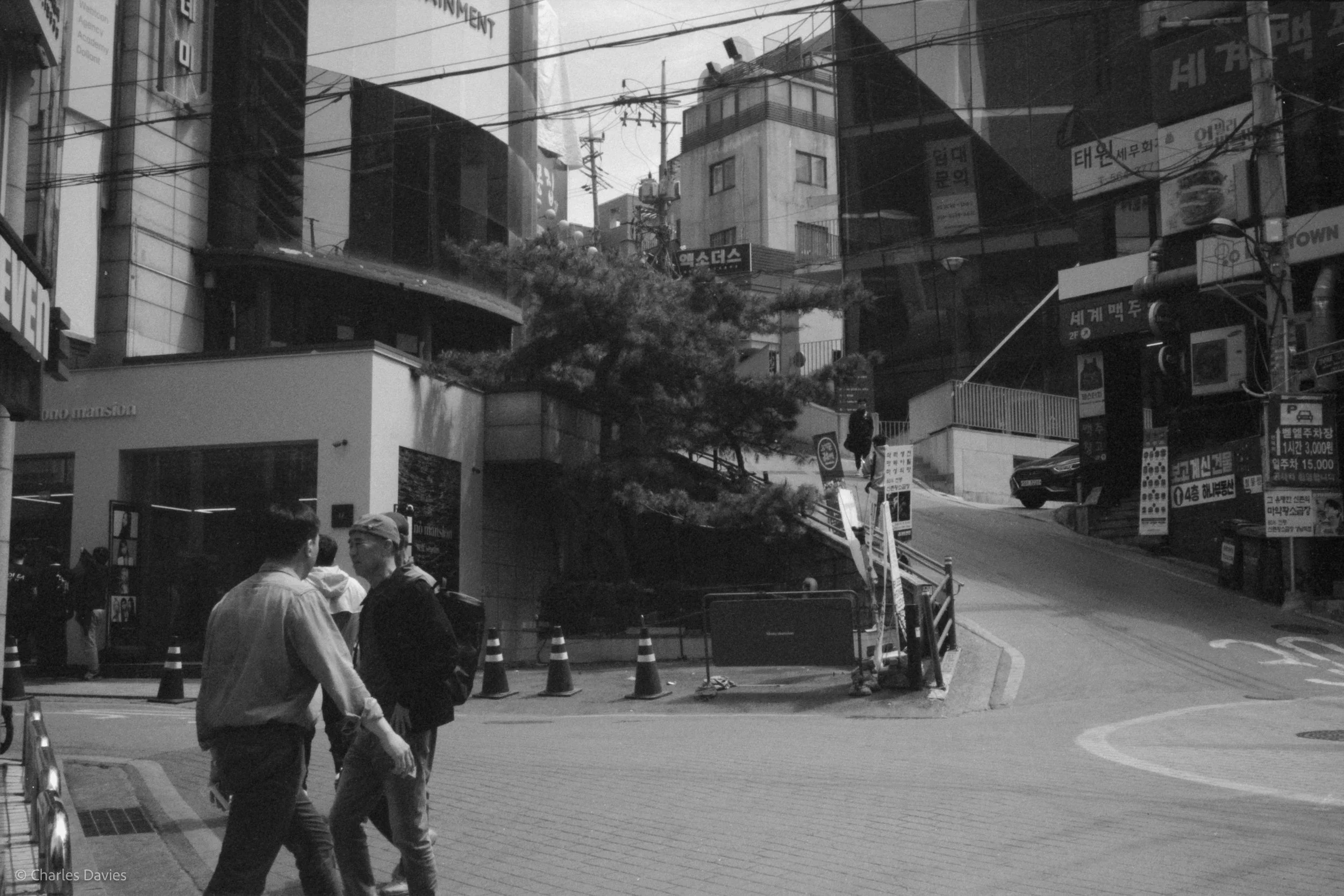 Roll 9 - 2023 - South East Asia - South Korea - Seoul - Kentmere Pan 400 - Olympus 35DC - 35mm - Film - B&W 