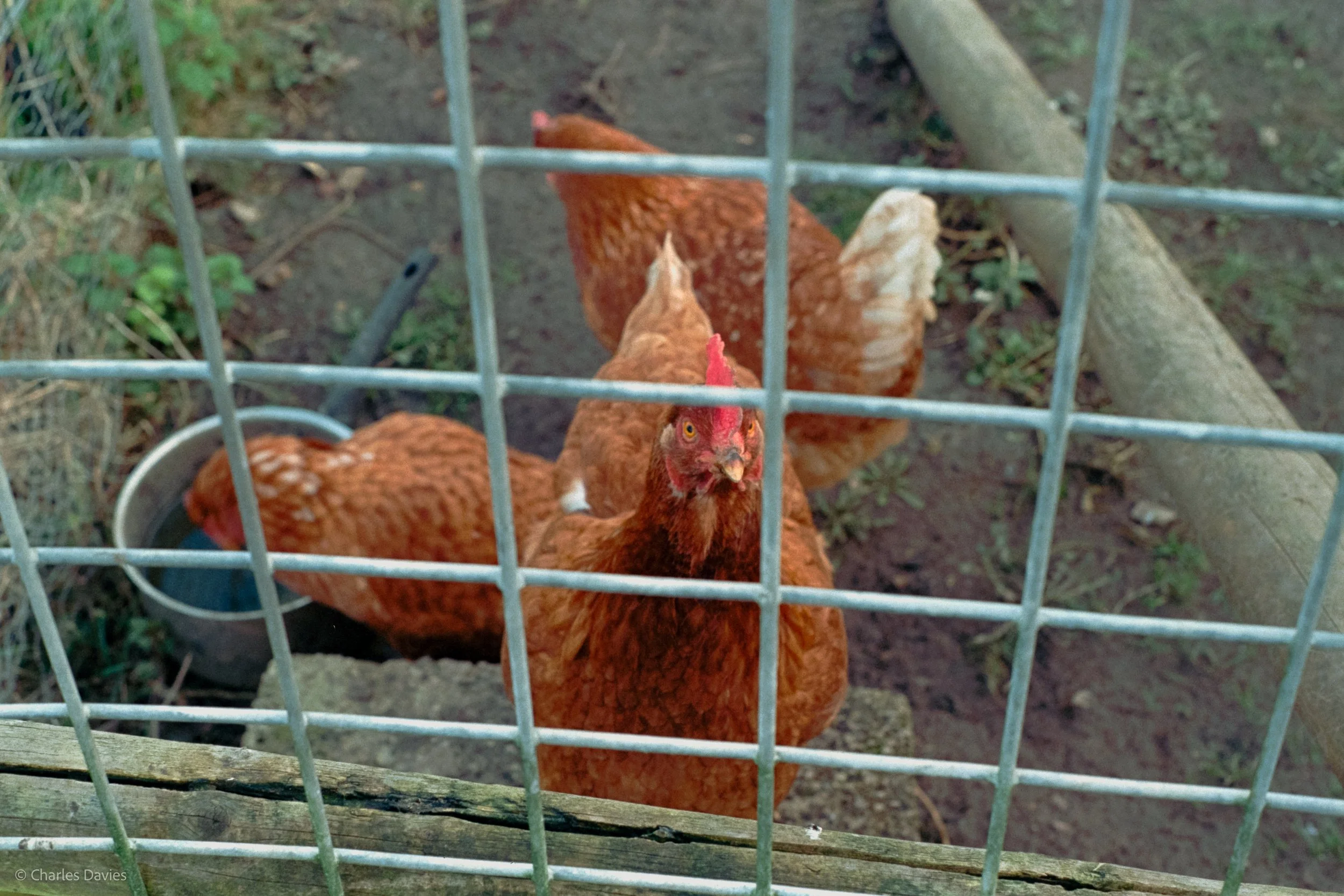 Shot 19 - F/8 + 1/60th - Home  