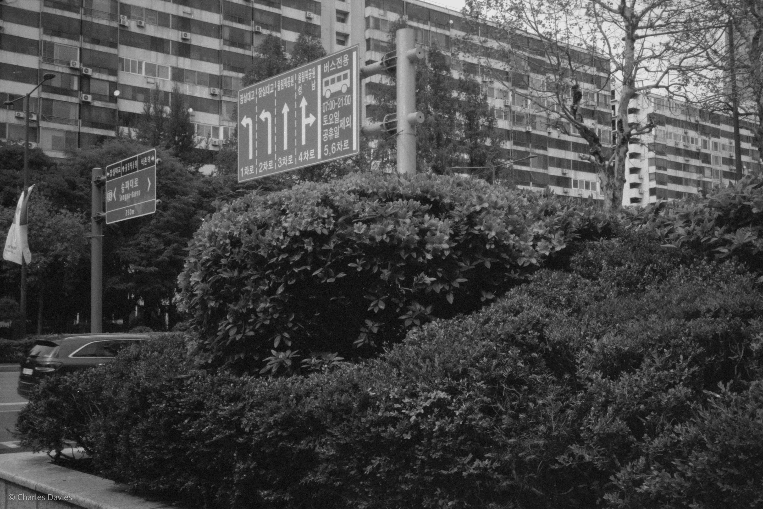 Roll 9 - 2023 - South East Asia - South Korea - Seoul - Kentmere Pan 400 - Olympus 35DC - 35mm - Film - B&W 
