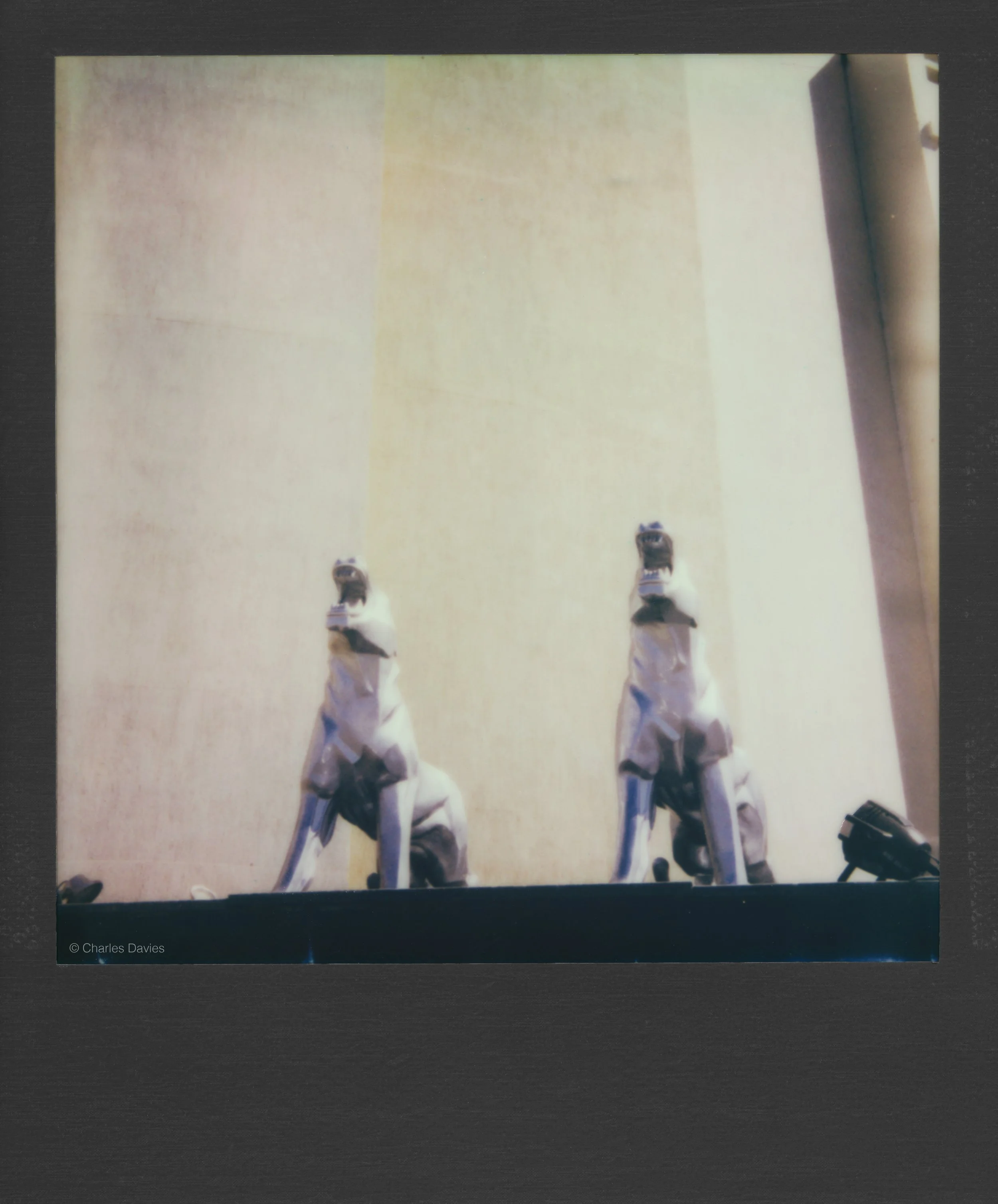 49 - 2023 - Polaroid Now.jpg