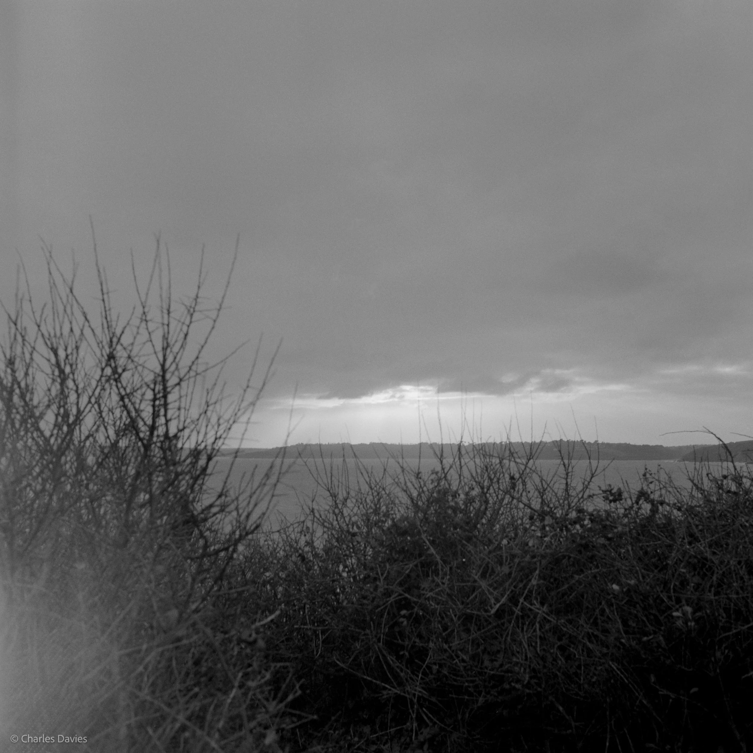 Image-5.jpg
