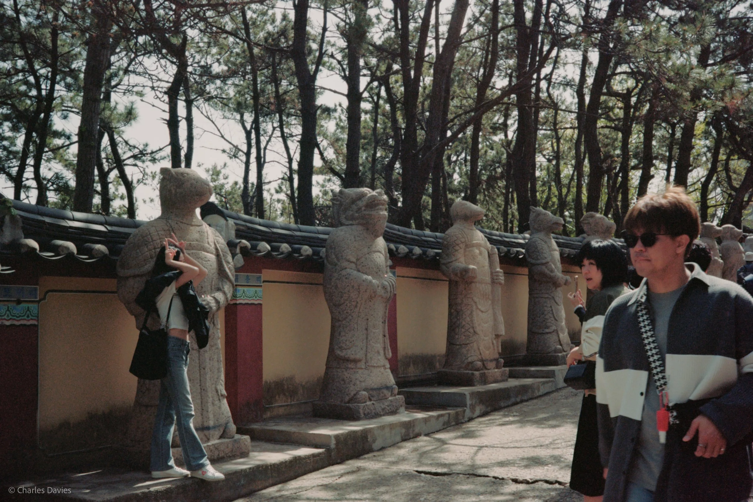 Roll 6 - 2023 - South East Asia - South Korea - Busan - Kodak Portra 160 - Olympus 35DC - 35mm - Film - Colour 