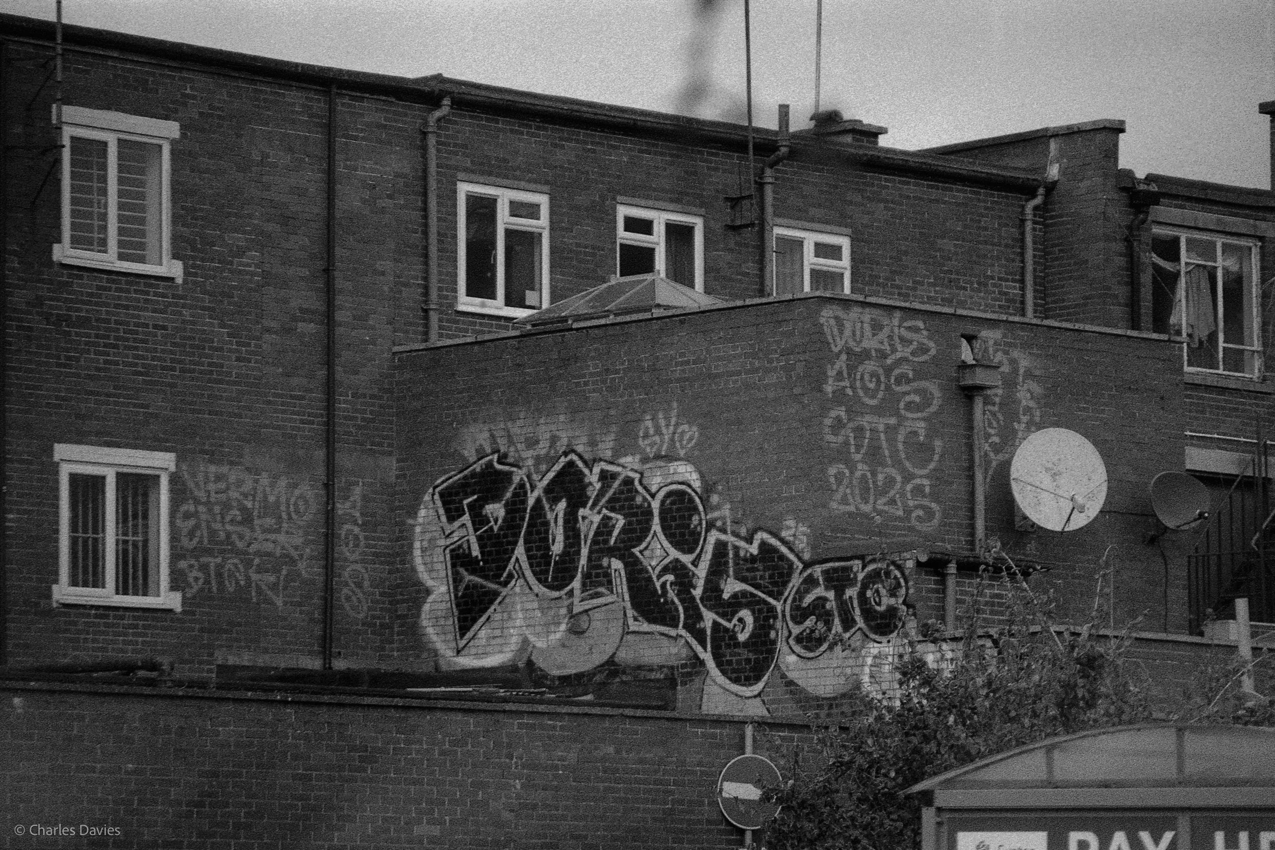 009.jpg