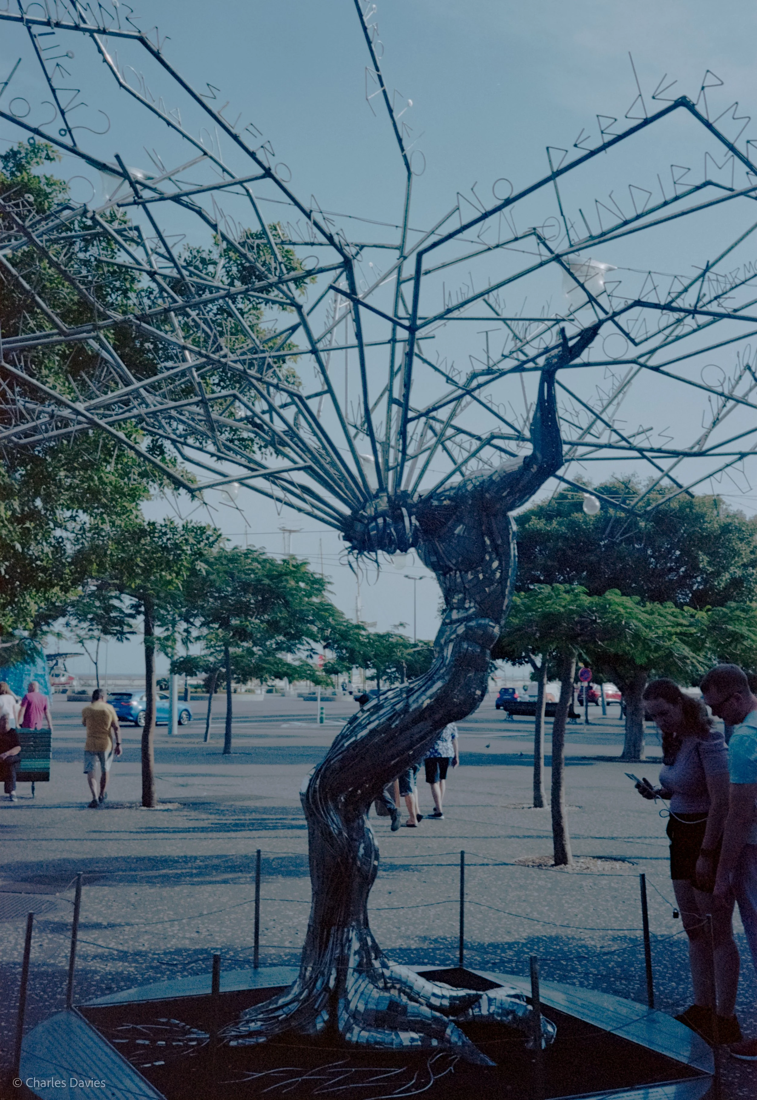 Roll 14 - 2024 - Europe - Spain - Santa Cruz de Tenerife - Kodak Portra 160 - Olympus 35DC - 35mm - Film - Colour 