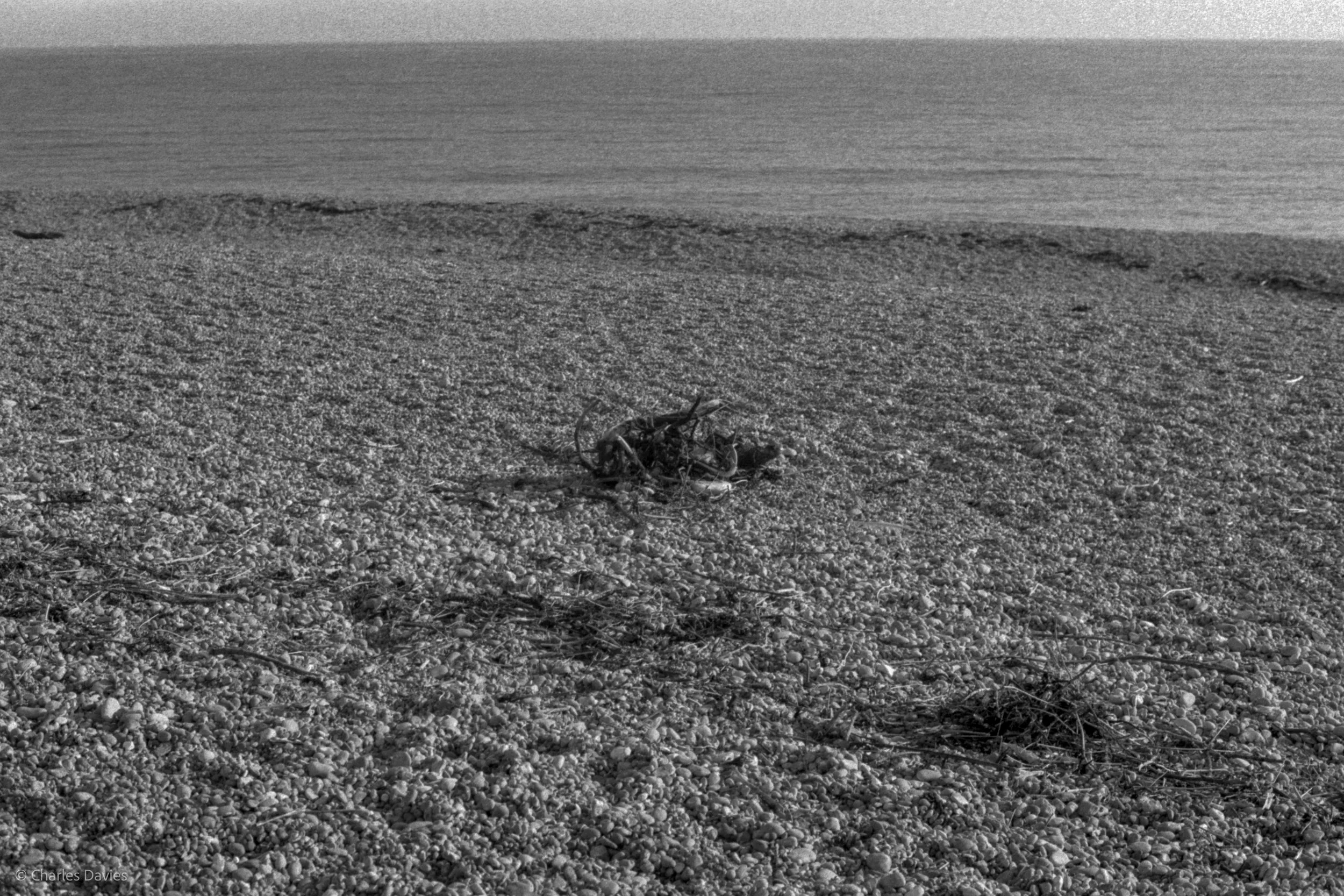 Roll 25 - 2025 - Europe - United Kingdom - Seaton - Kentmere Pan 400 - Contax RTS - 35mm - Film - B&W 