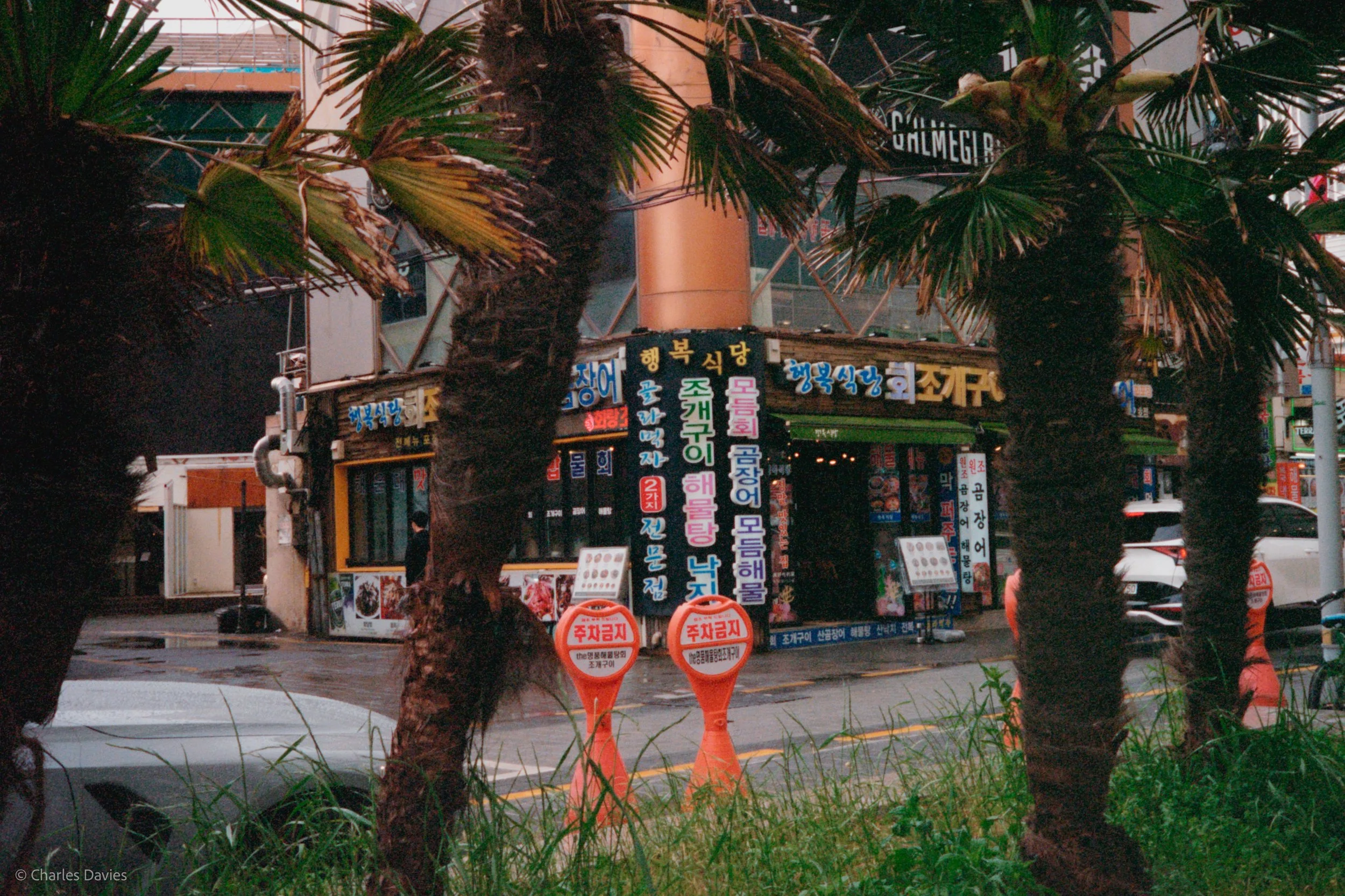 Roll 5 - 2023 - South East Asia - South Korea - Busan - Kodak Portra 400 - Olympus 35DC - 35mm - Film - Colour 