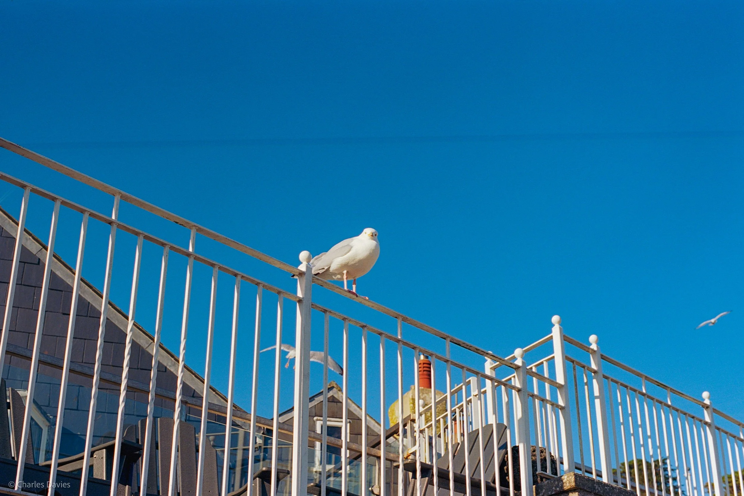 Roll 22 - 2025 - Europe - United Kingdom - Lyme Regis - Kodak Ektar 100 - Contax RTS - 35mm - Film - Colour