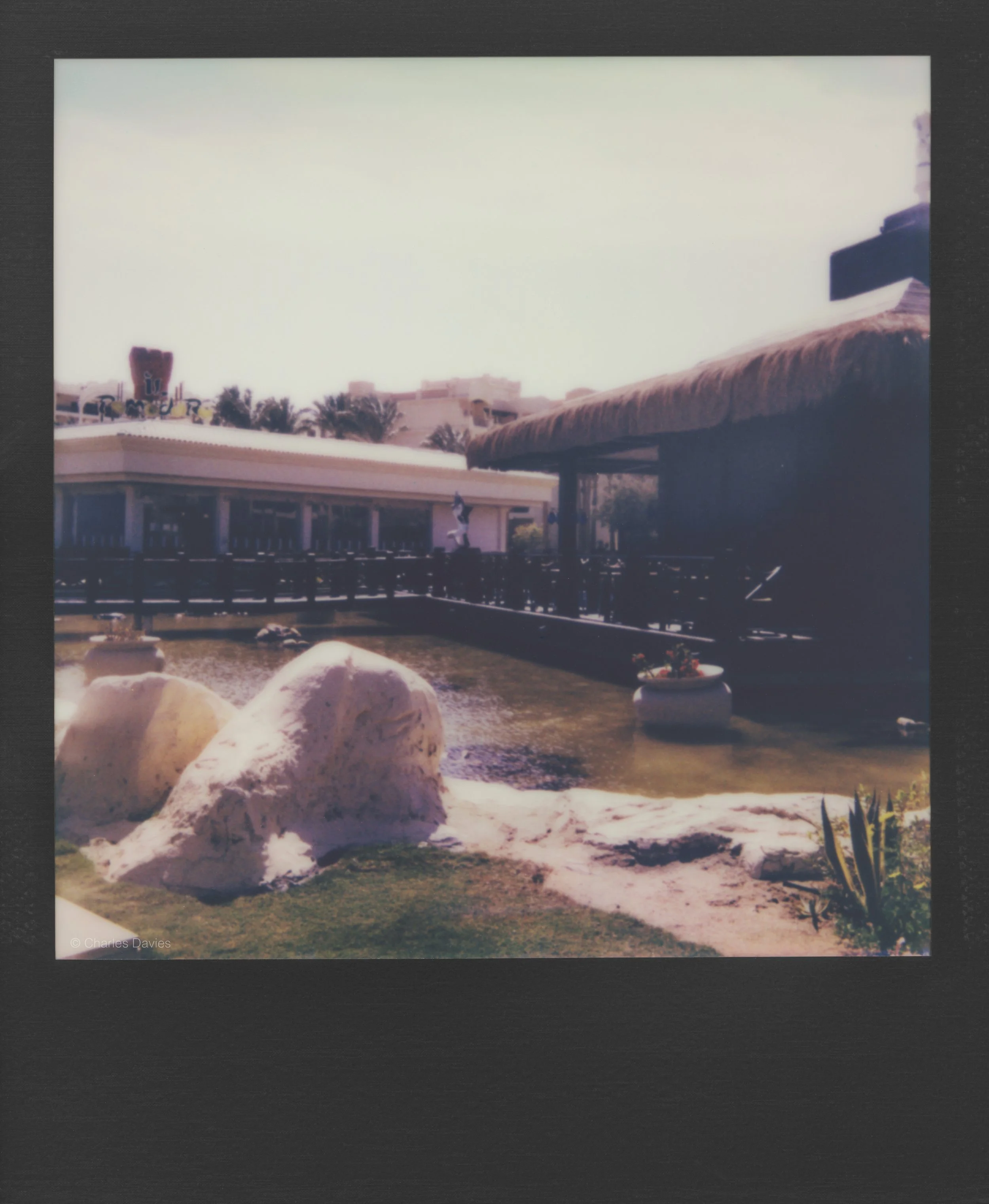 35 - 2023 - Polaroid Now.jpg