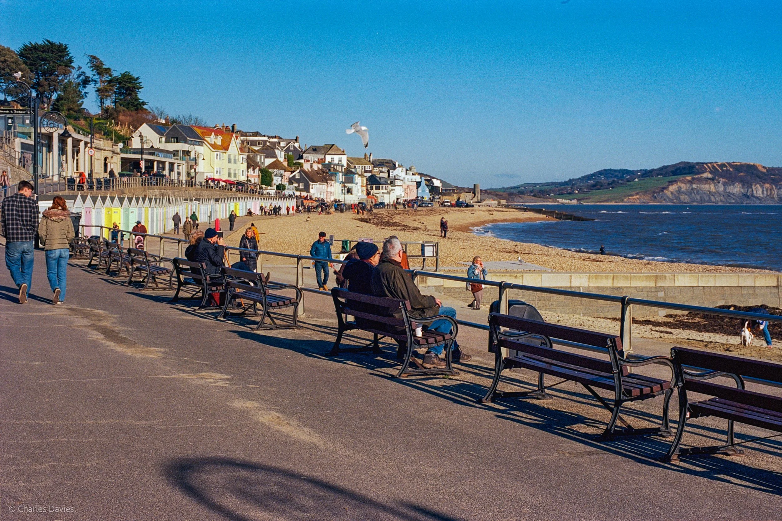 Roll 22 - 2025 - Europe - United Kingdom - Lyme Regis - Kodak Ektar 100 - Contax RTS - 35mm - Film - Colour