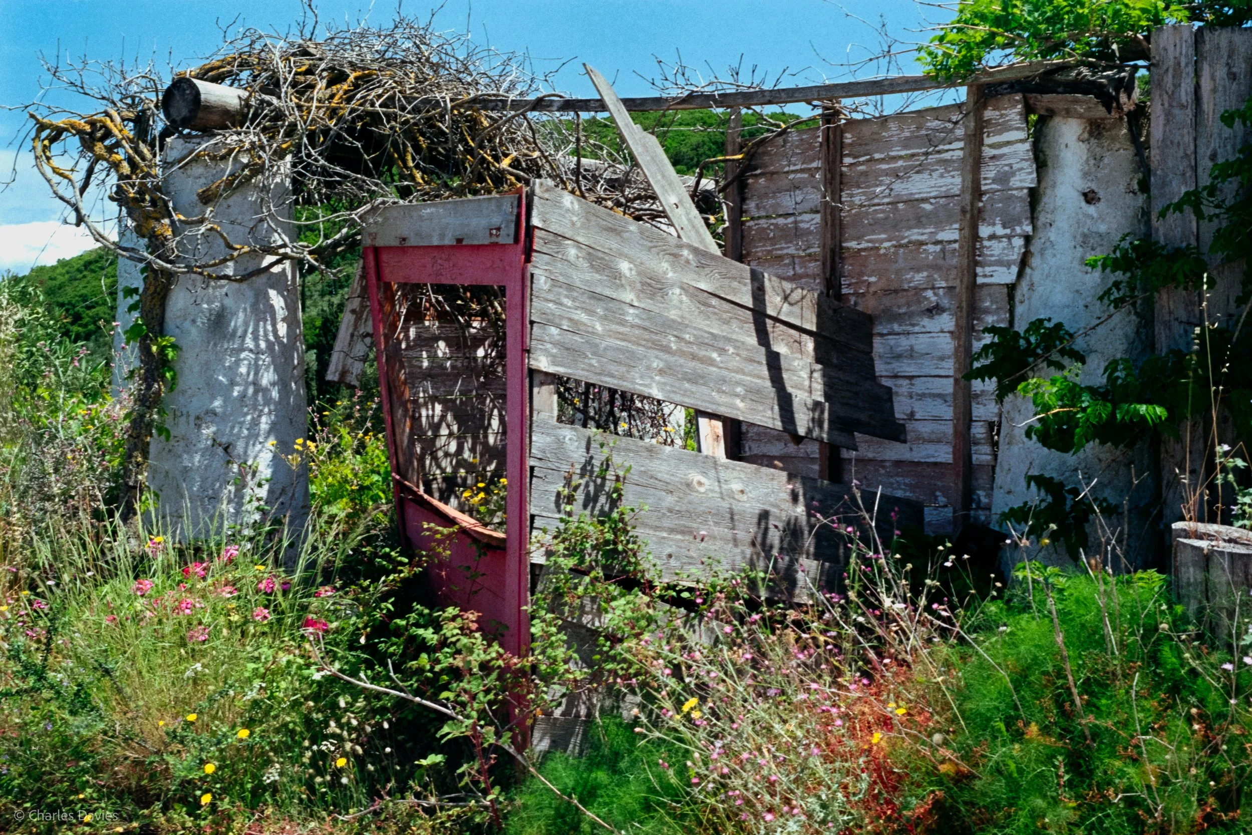  Image 1 - Aperture Priority 