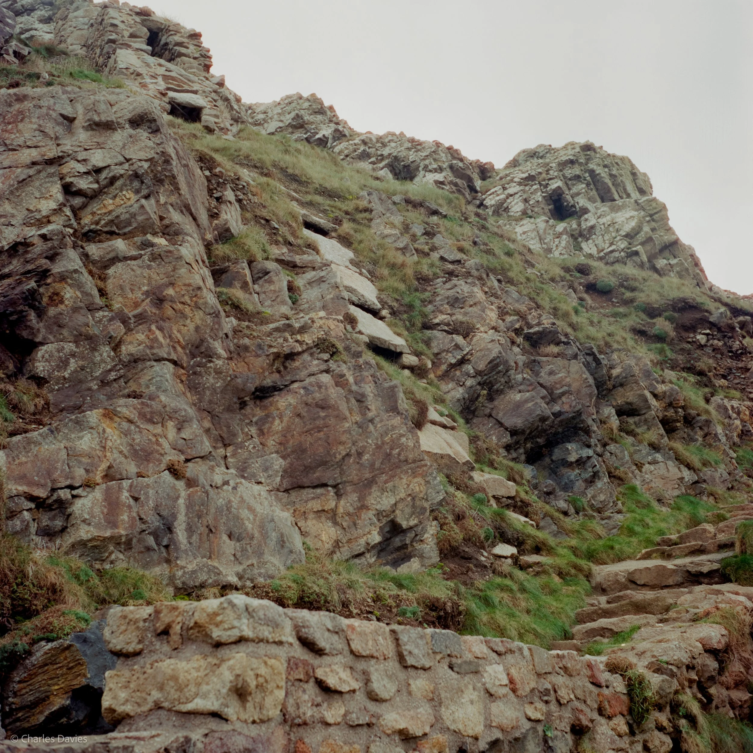 Image-6.jpg