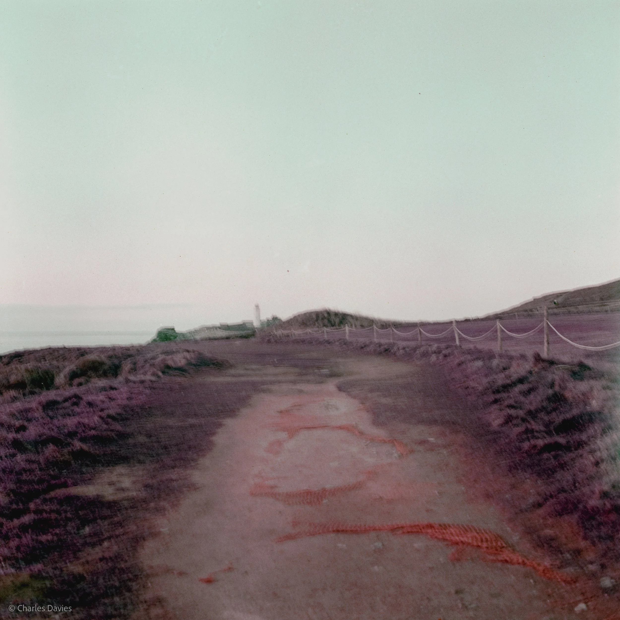 Image-5.jpg