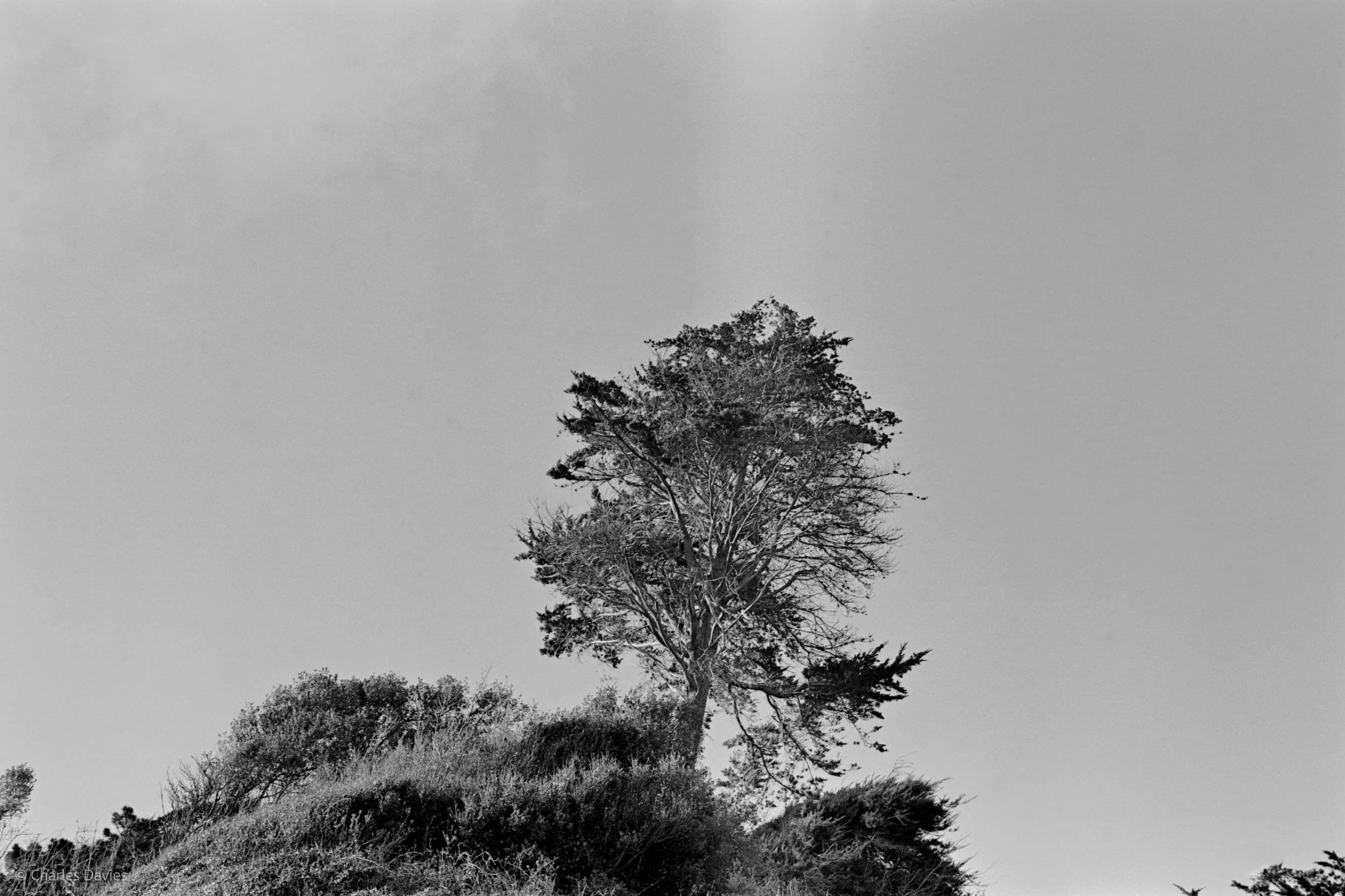 Shot 22 - F/8 + 1/250th - Seaton 