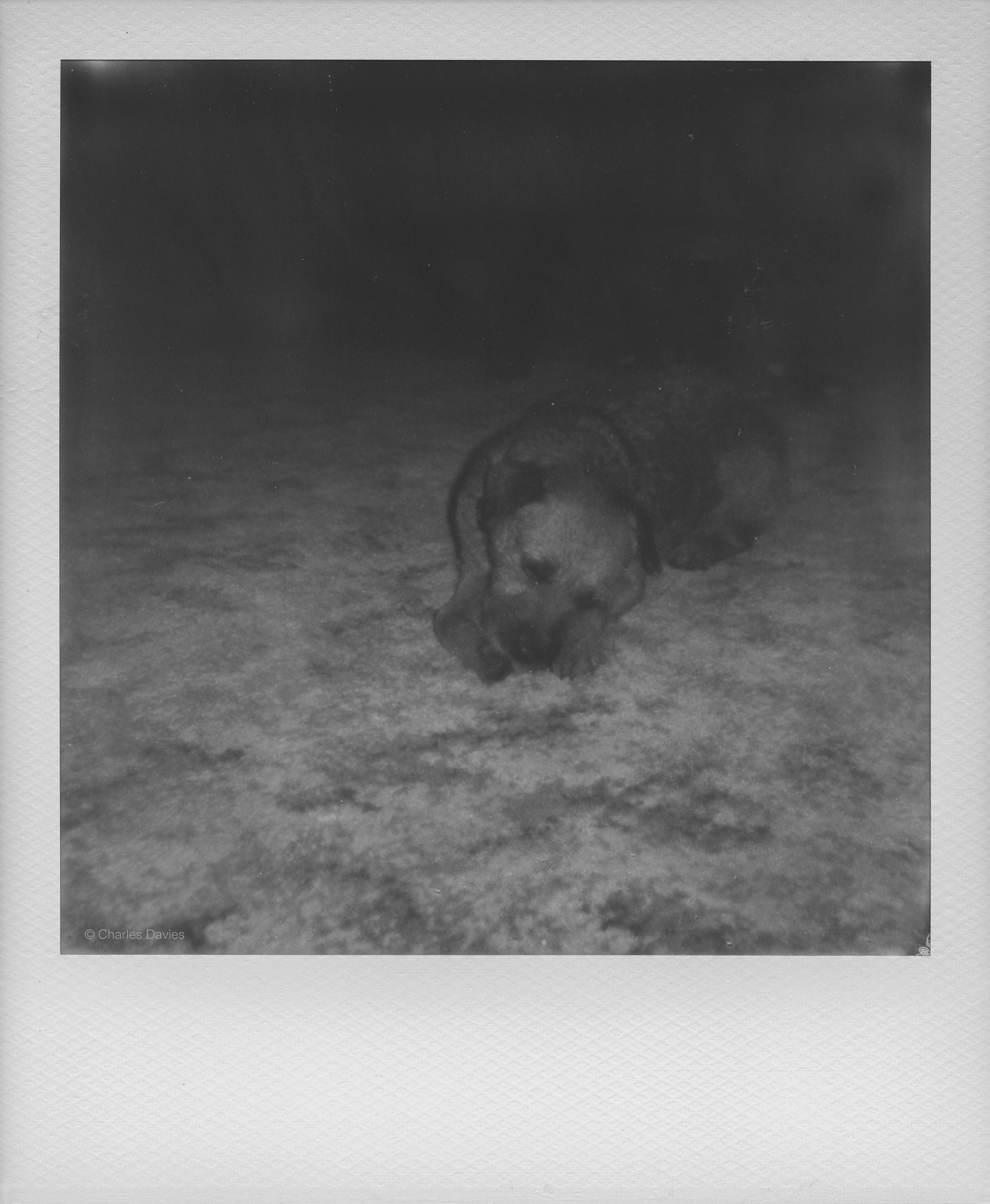 107 - 2022 - Polaroid Now.jpg
