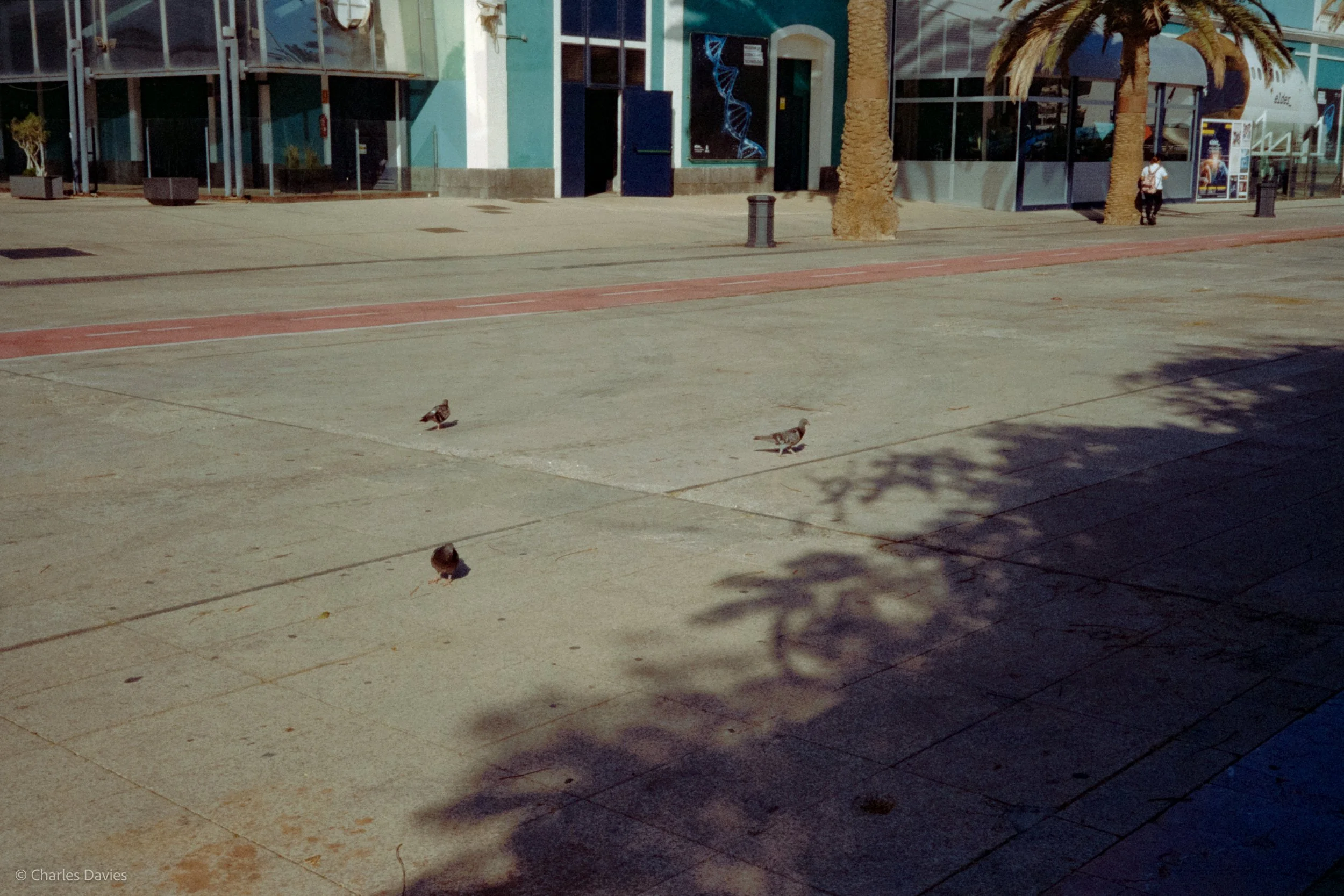 Roll 15 - 2024 - Europe - Spain - Las Palmas de Gran Canaria - Kodak Gold 200 - Olympus 35DC - 35mm - Film - Colour 