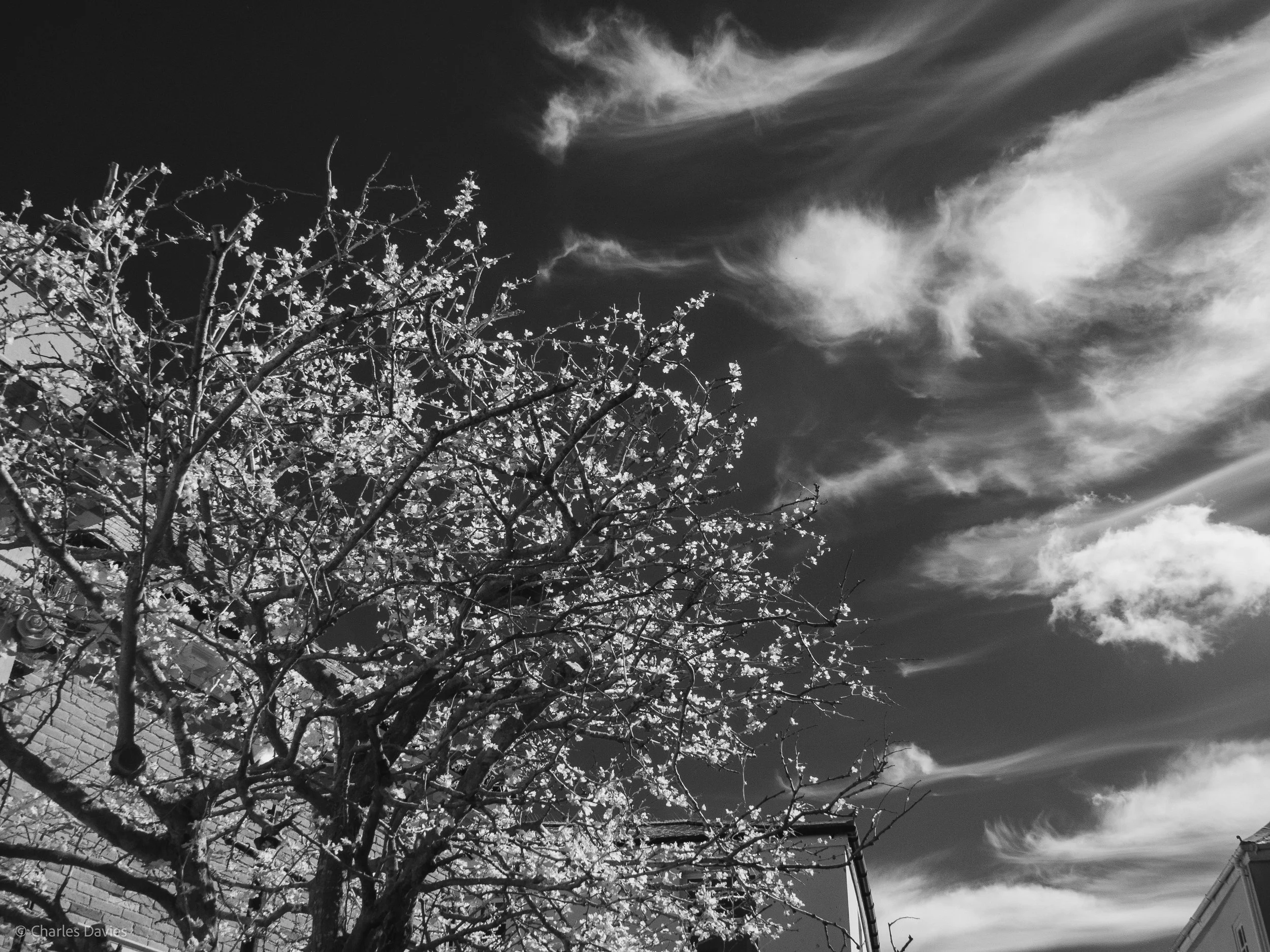 Manual - ISO 400 + F/8 + 1/640th - Sidmouth  