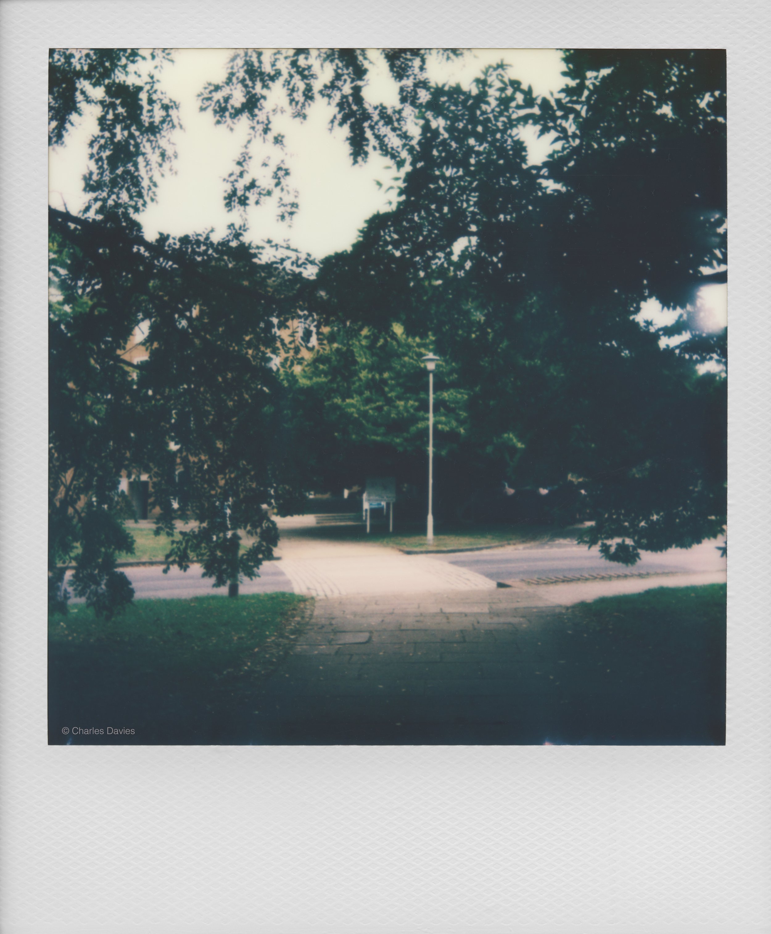 42 - 2022 - Polaroid Now.jpg