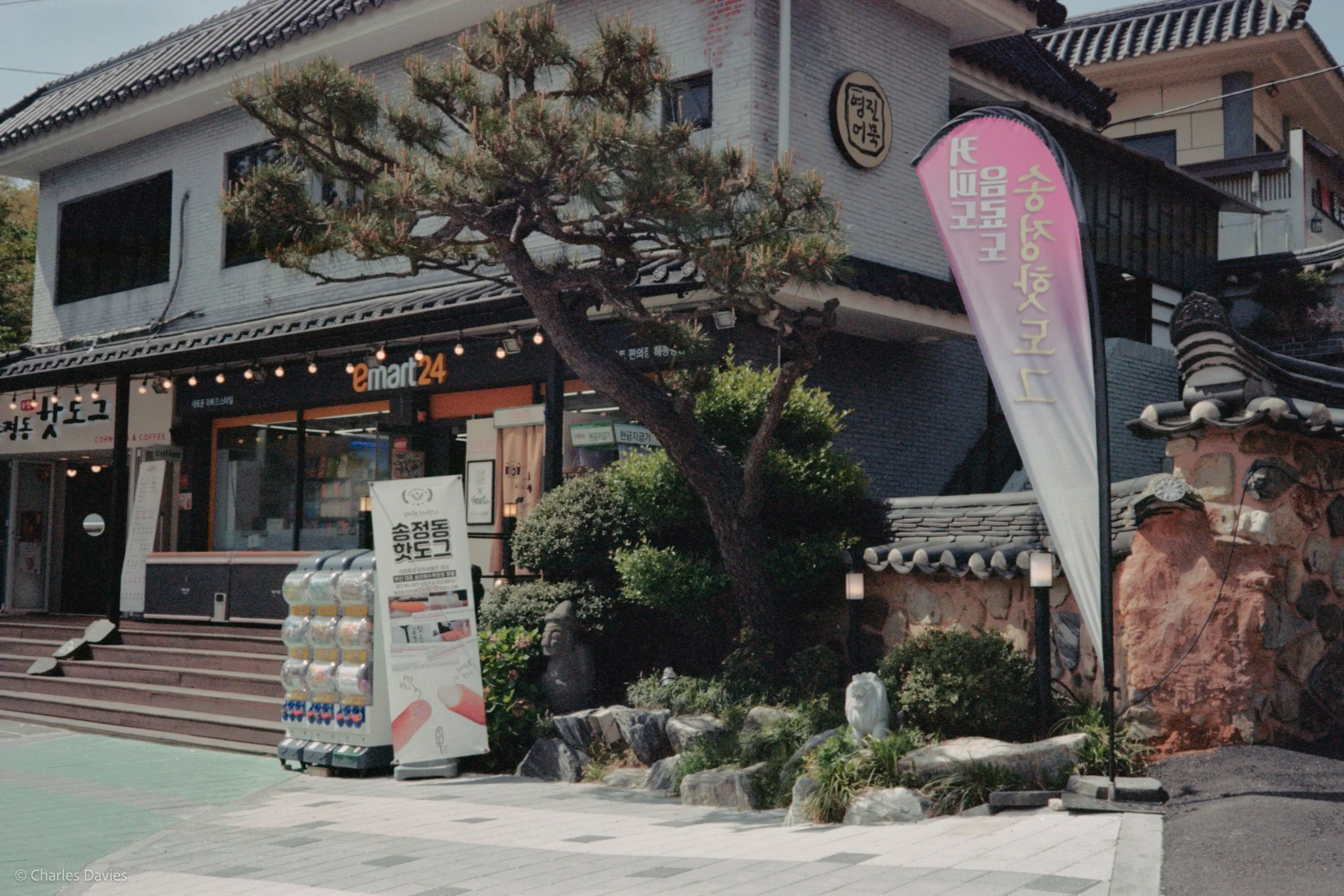 Roll 6 - 2023 - South East Asia - South Korea - Busan - Kodak Portra 160 - Olympus 35DC - 35mm - Film - Colour 