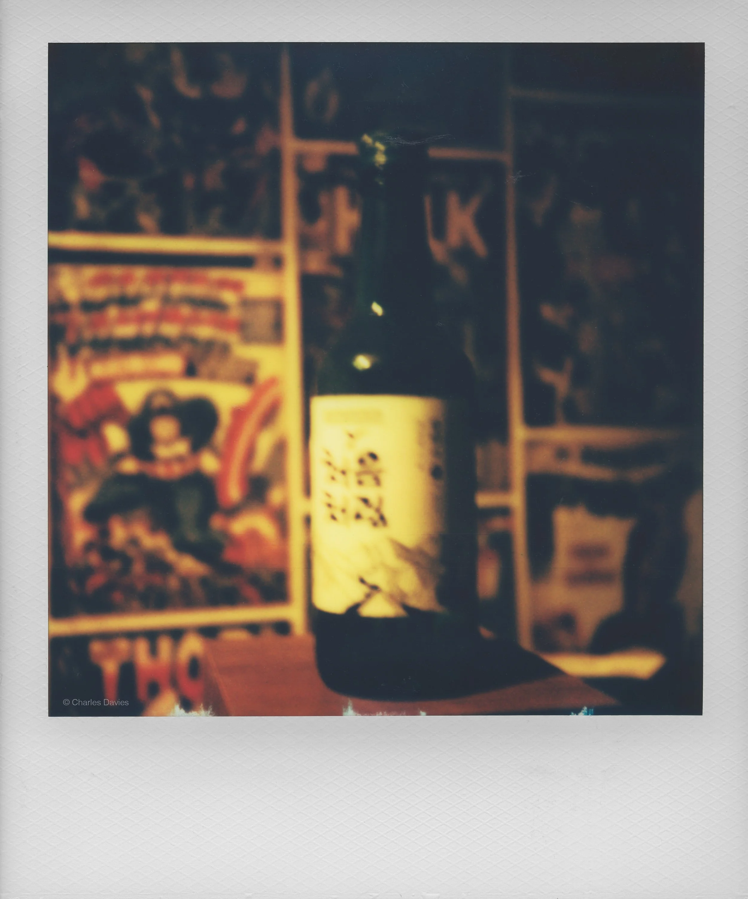 136 - 2022 - Polaroid SX-70.jpg