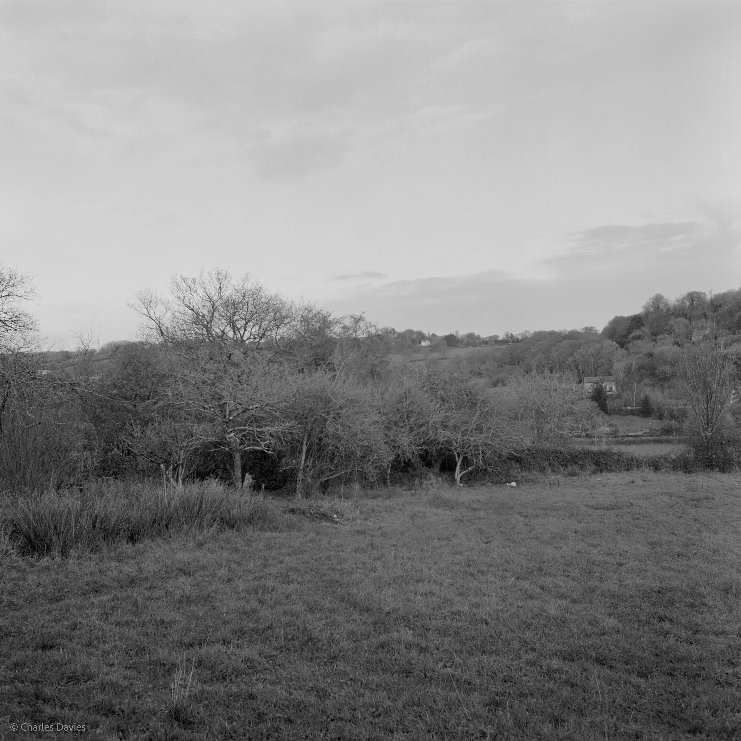 Shot 3 - Home 