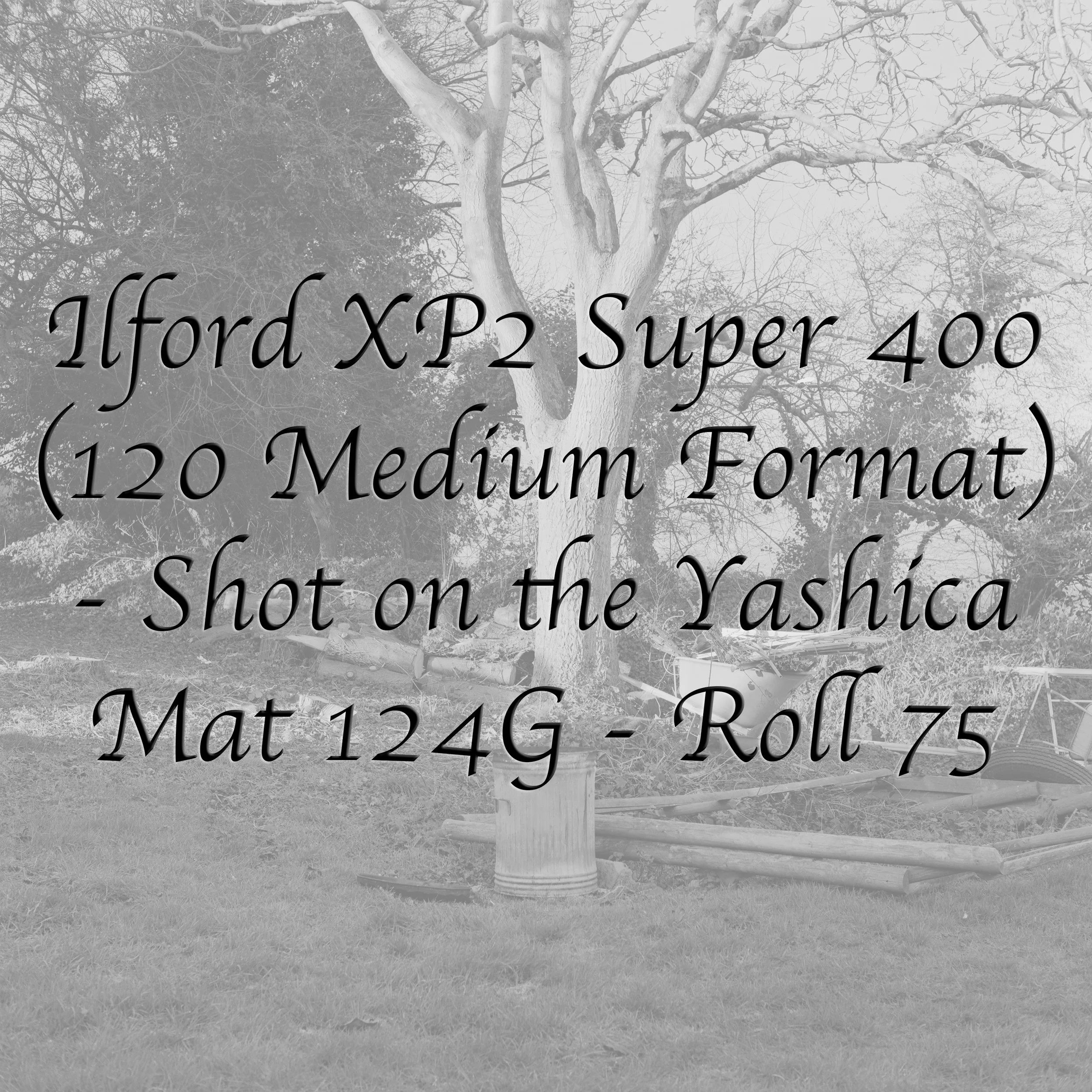 Ilford XP2 Super 400 (Medium Format) - Roll 75
