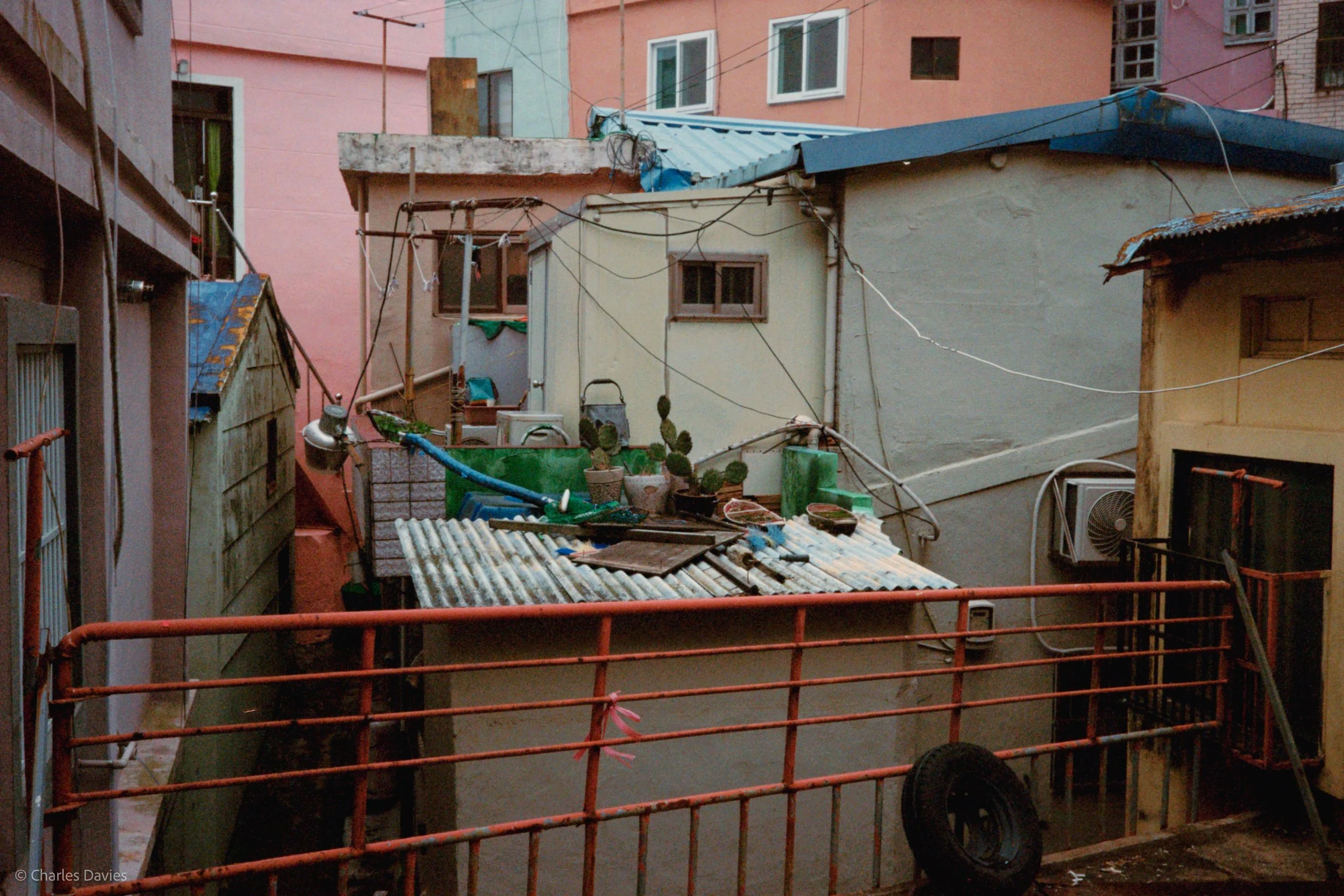 Roll 7 - 2023 - South East Asia - South Korea - Busan - Kodak UltraMax 400 - Olympus 35DC - 35mm - Film - Colour 