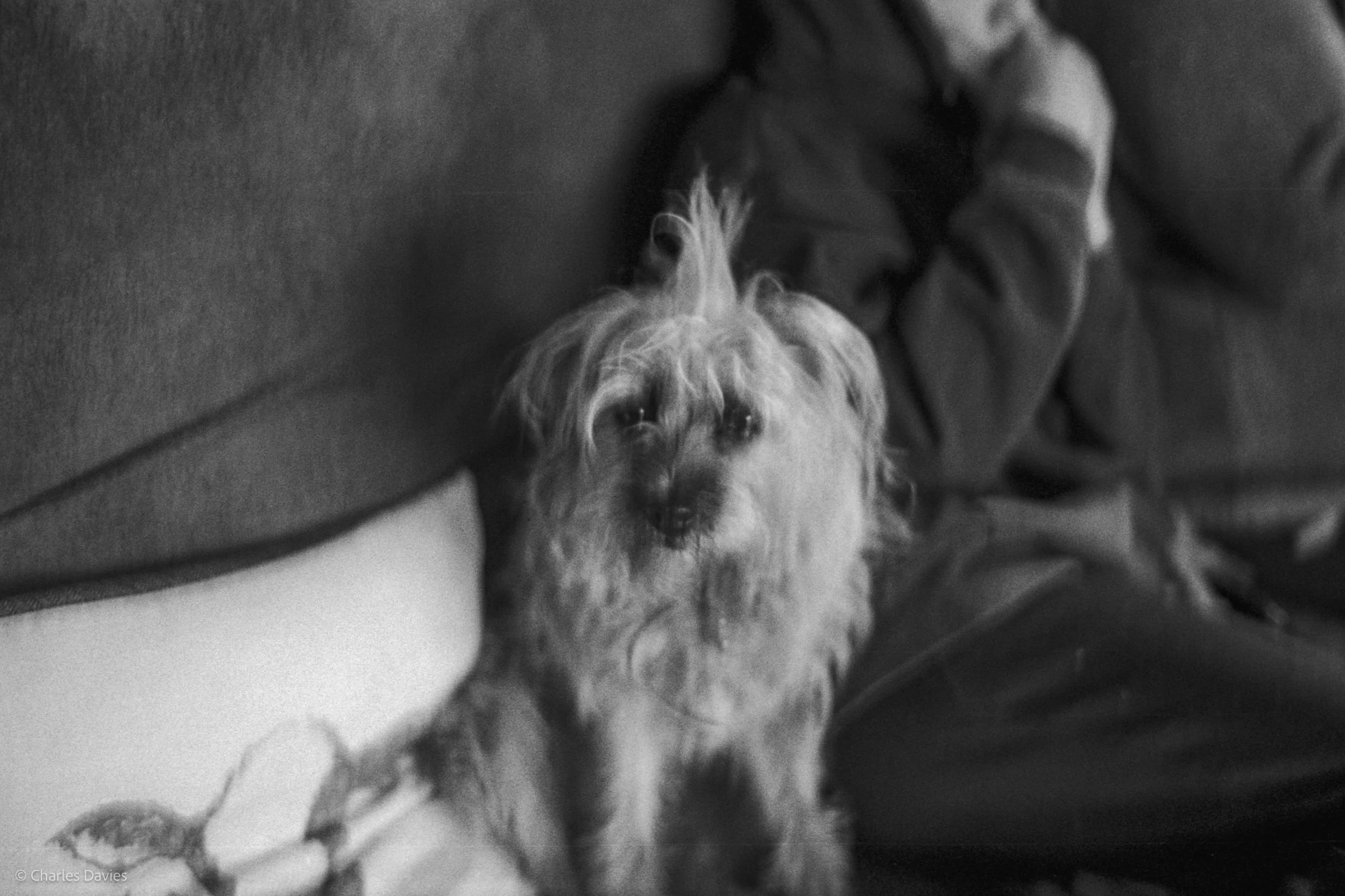 Roll 27 - 2025 - Europe - United Kingdom - Shute - Ilford HP5 Plus 400 - Contax RTS - 35mm - Film - B&W 