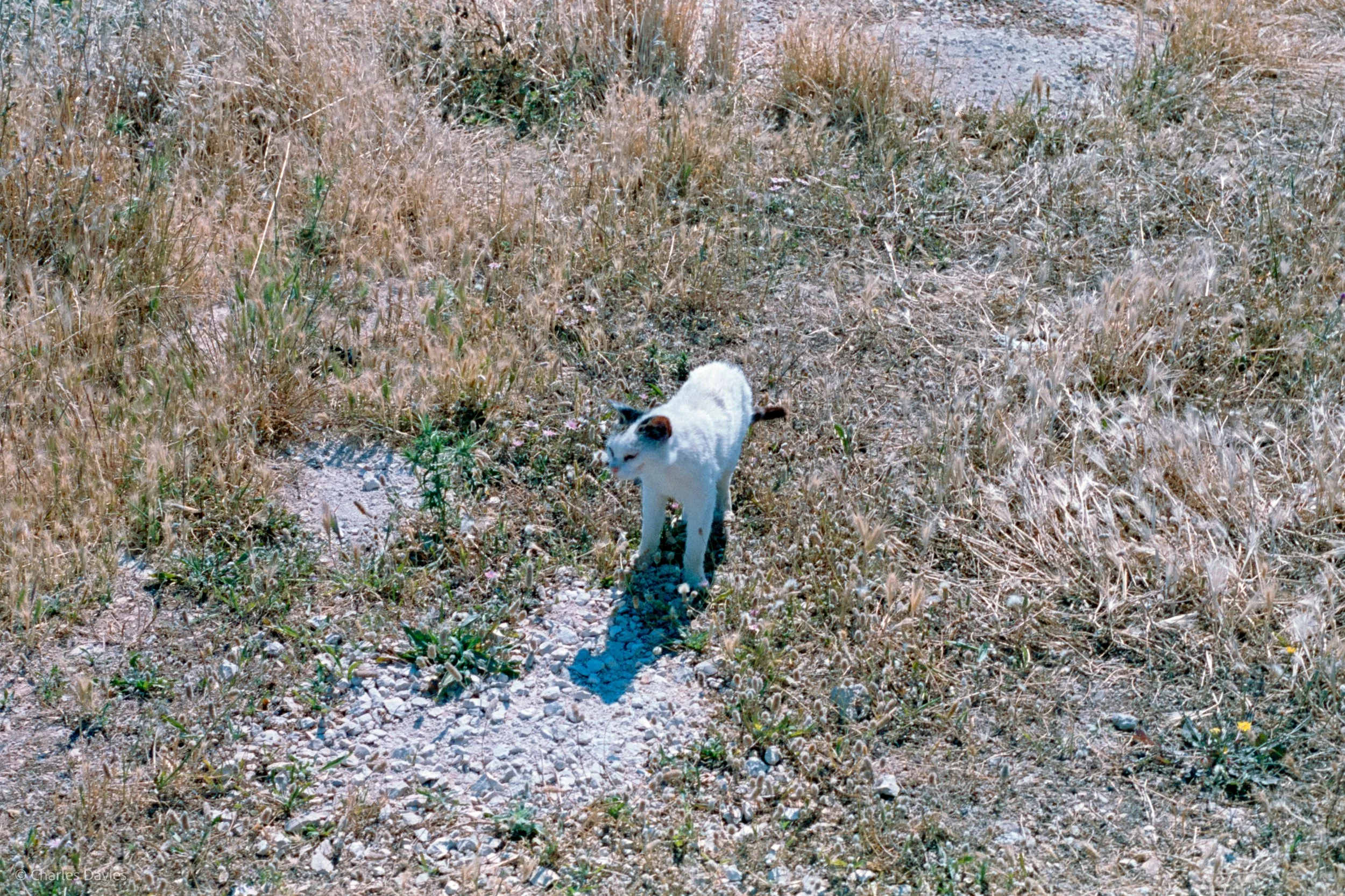 Image 15 - Aperture priority 