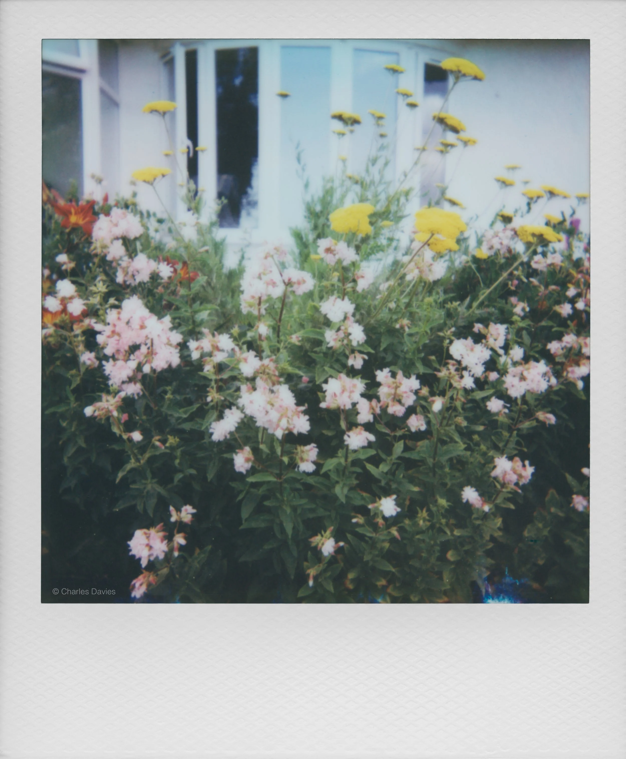 69 - 2025 - Polaroid Autofocus 660.jpg
