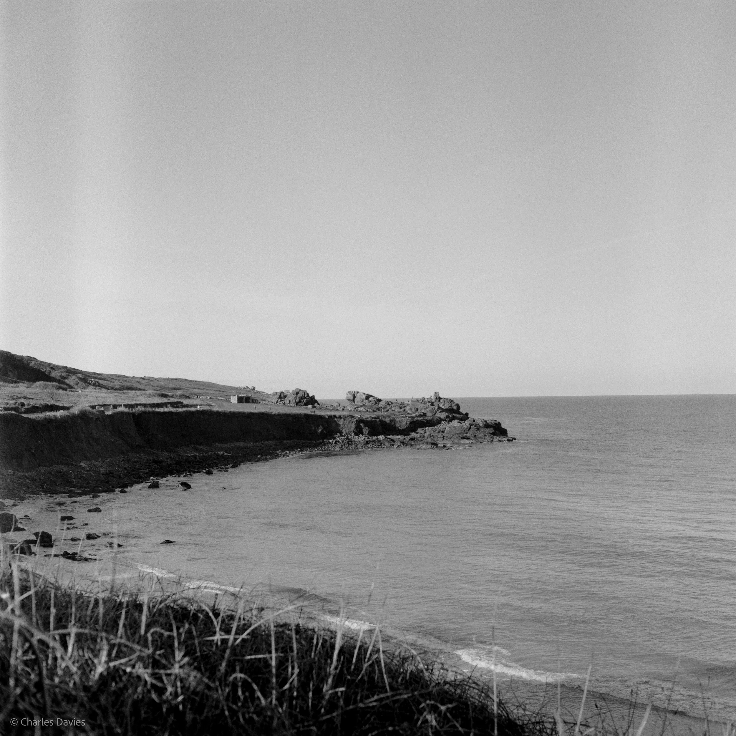 Image-10.jpg