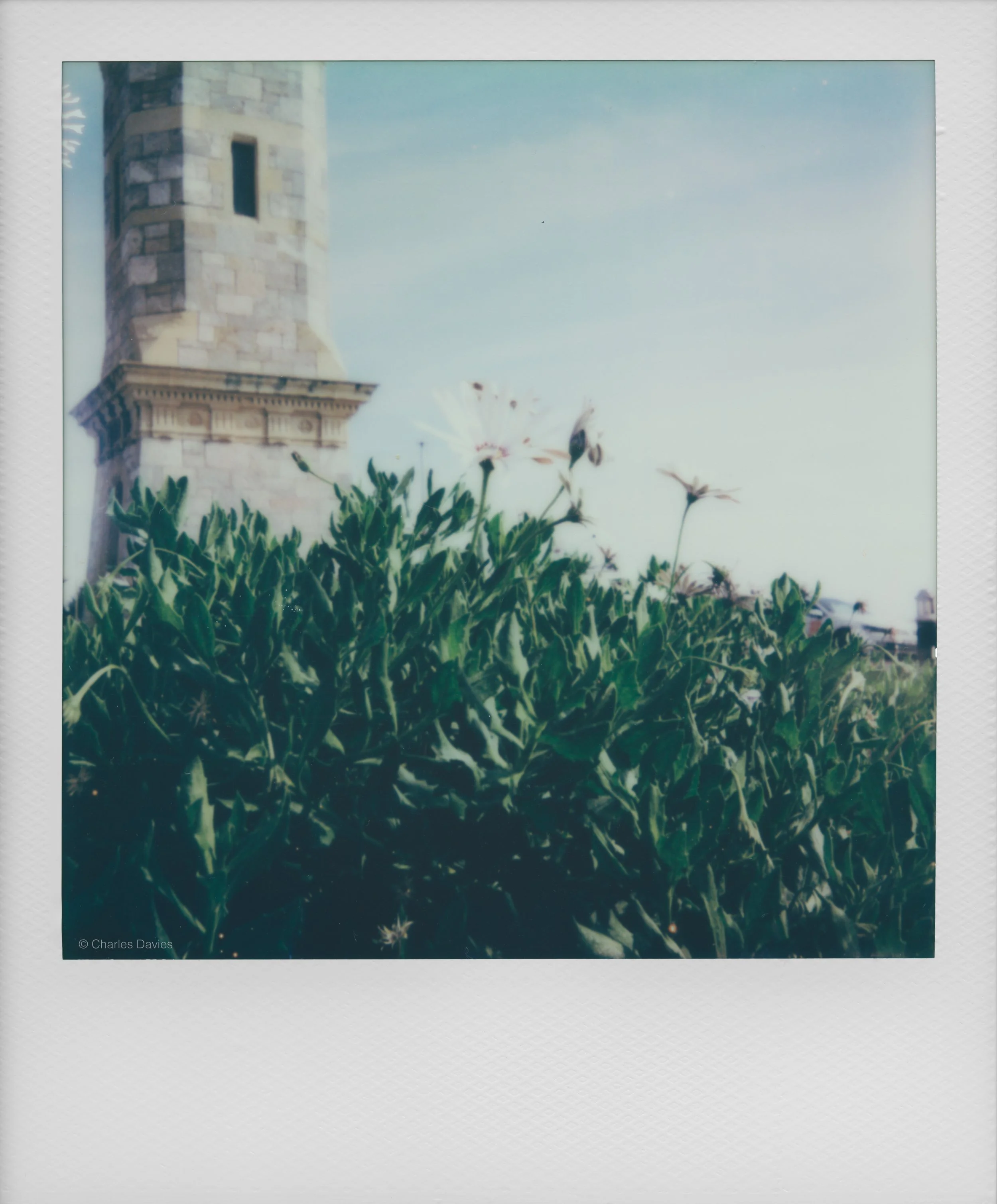 1 - 2022 - Polaroid Now.jpg